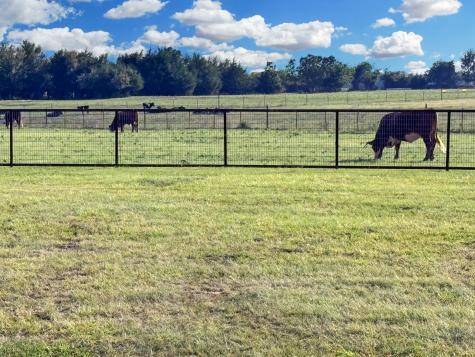 1050 County Road 5025 Trenton TX 75452