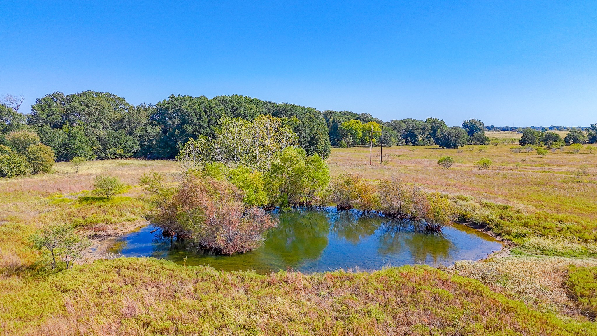 1710 Fm 667 Purdon TX 76679