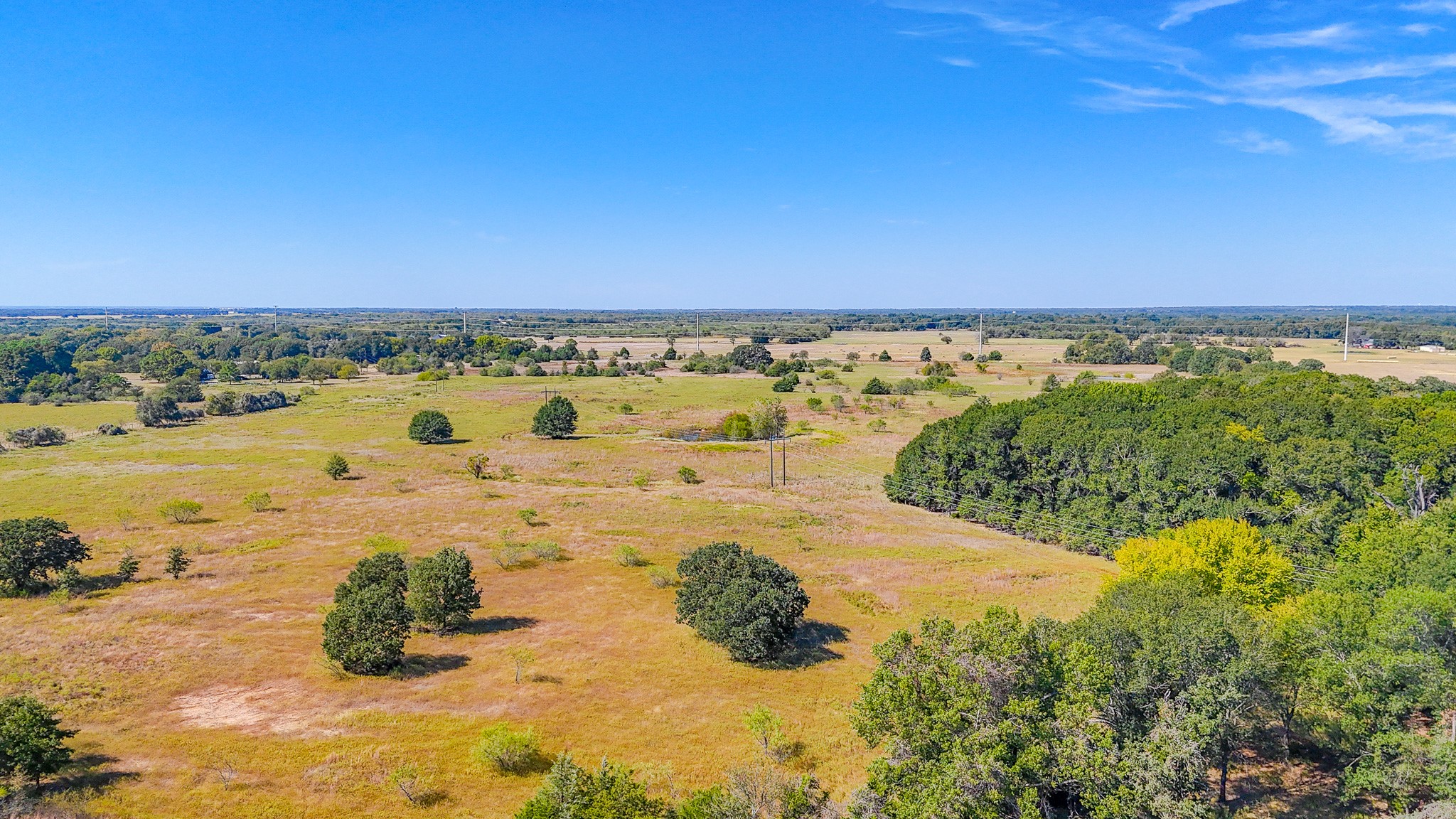 1710 Fm 667 Purdon TX 76679