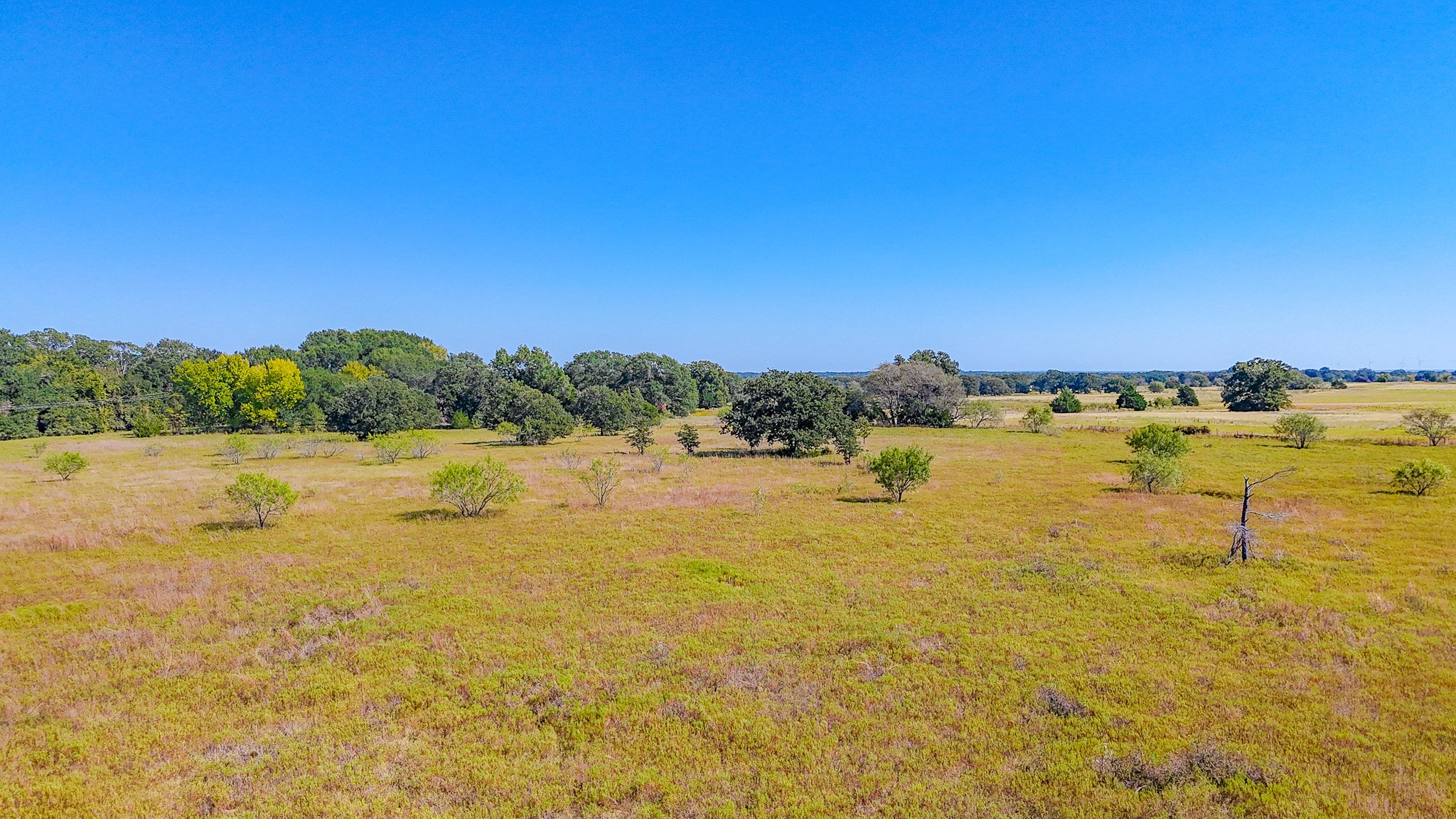 1710 Fm 667 Purdon TX 76679