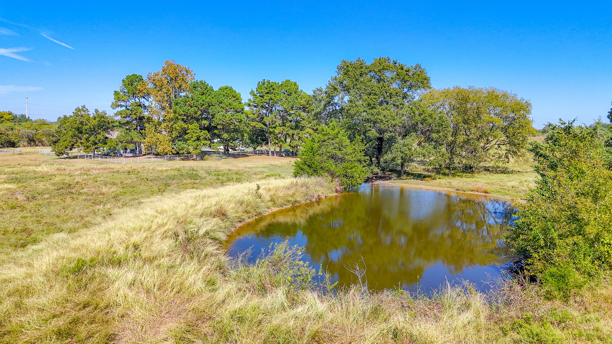1710 Fm 667 Purdon TX 76679