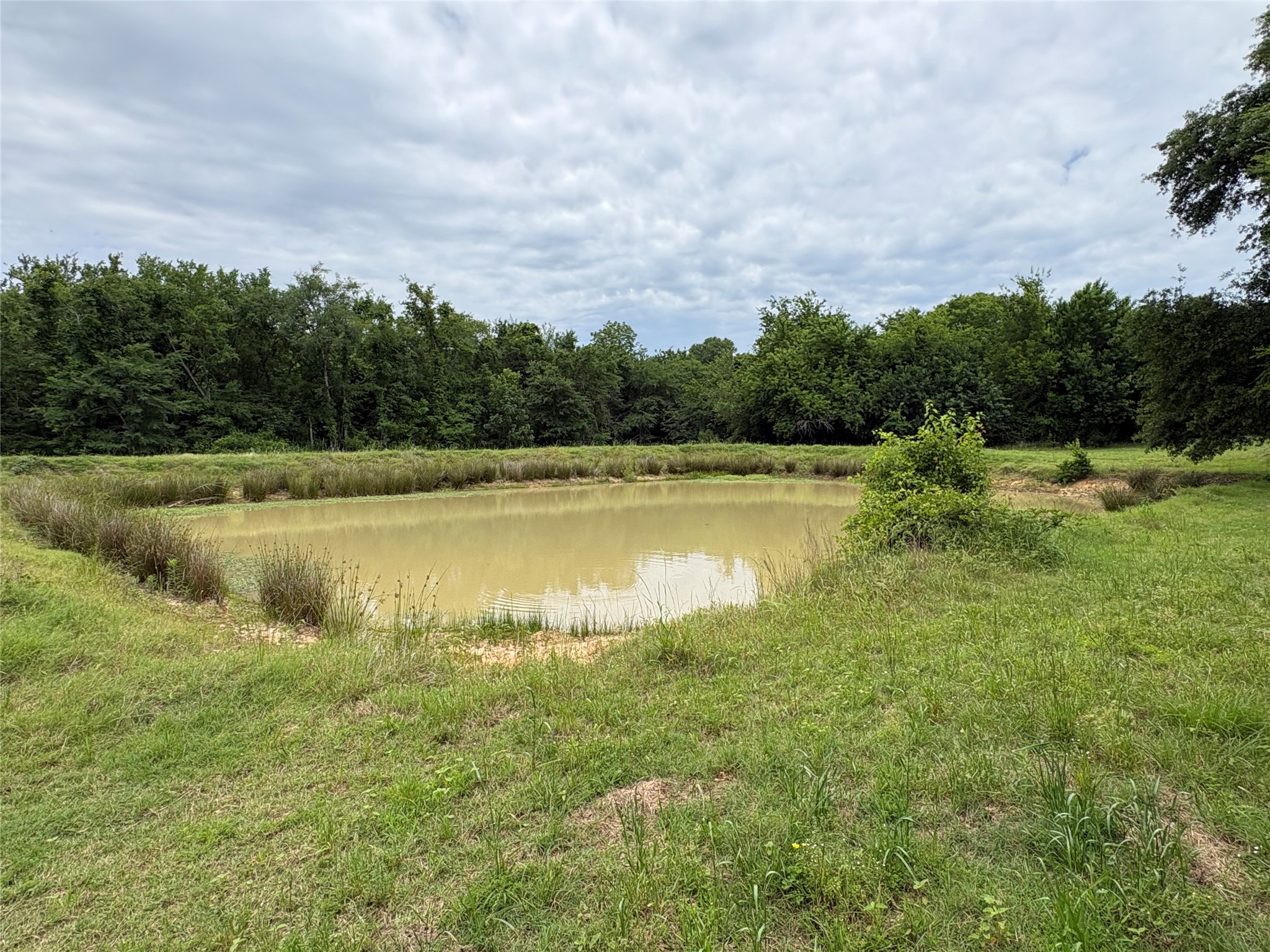 2212 County Road 4128 Cumby TX 75433