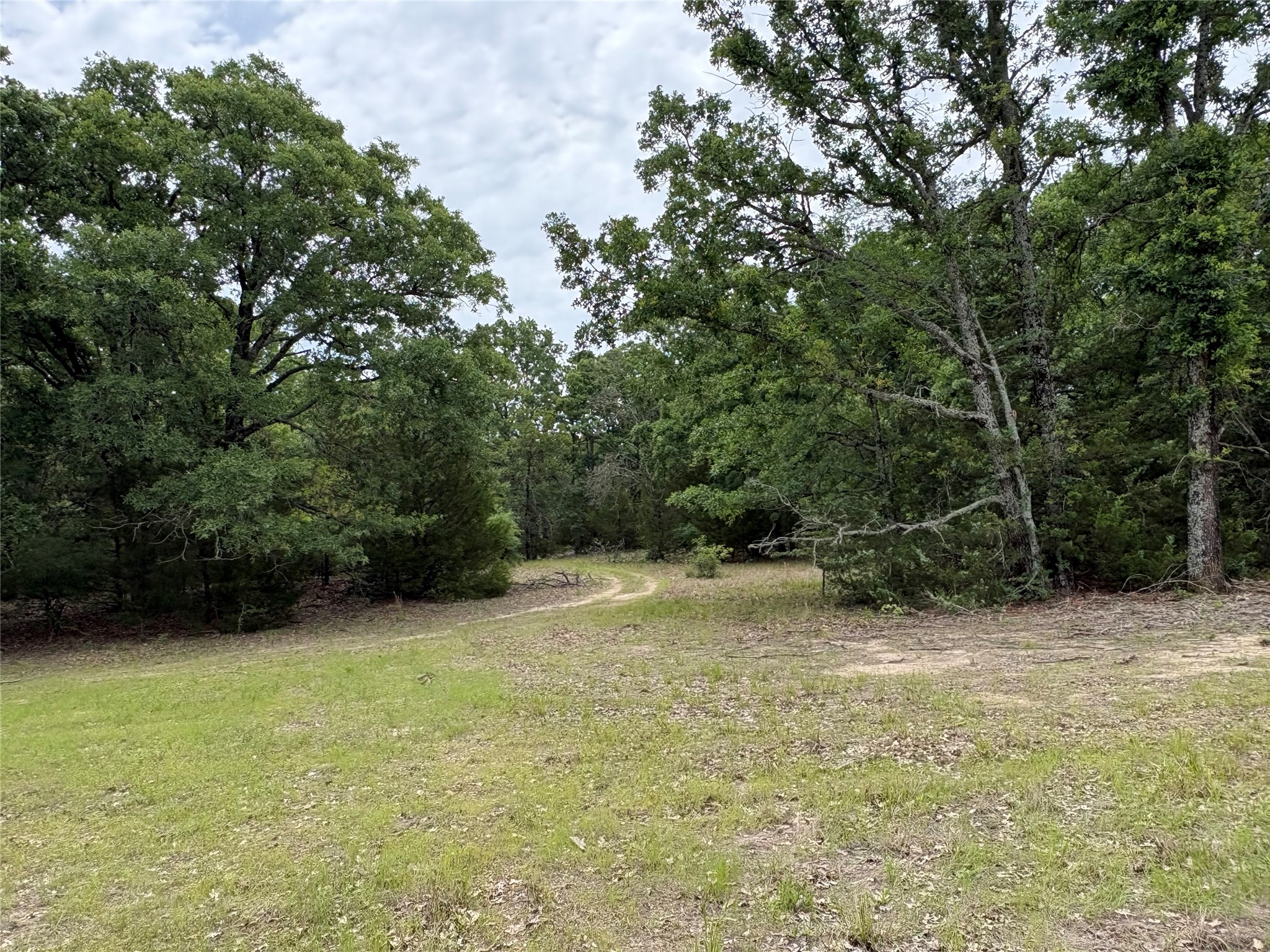 2212 County Road 4128 Cumby TX 75433