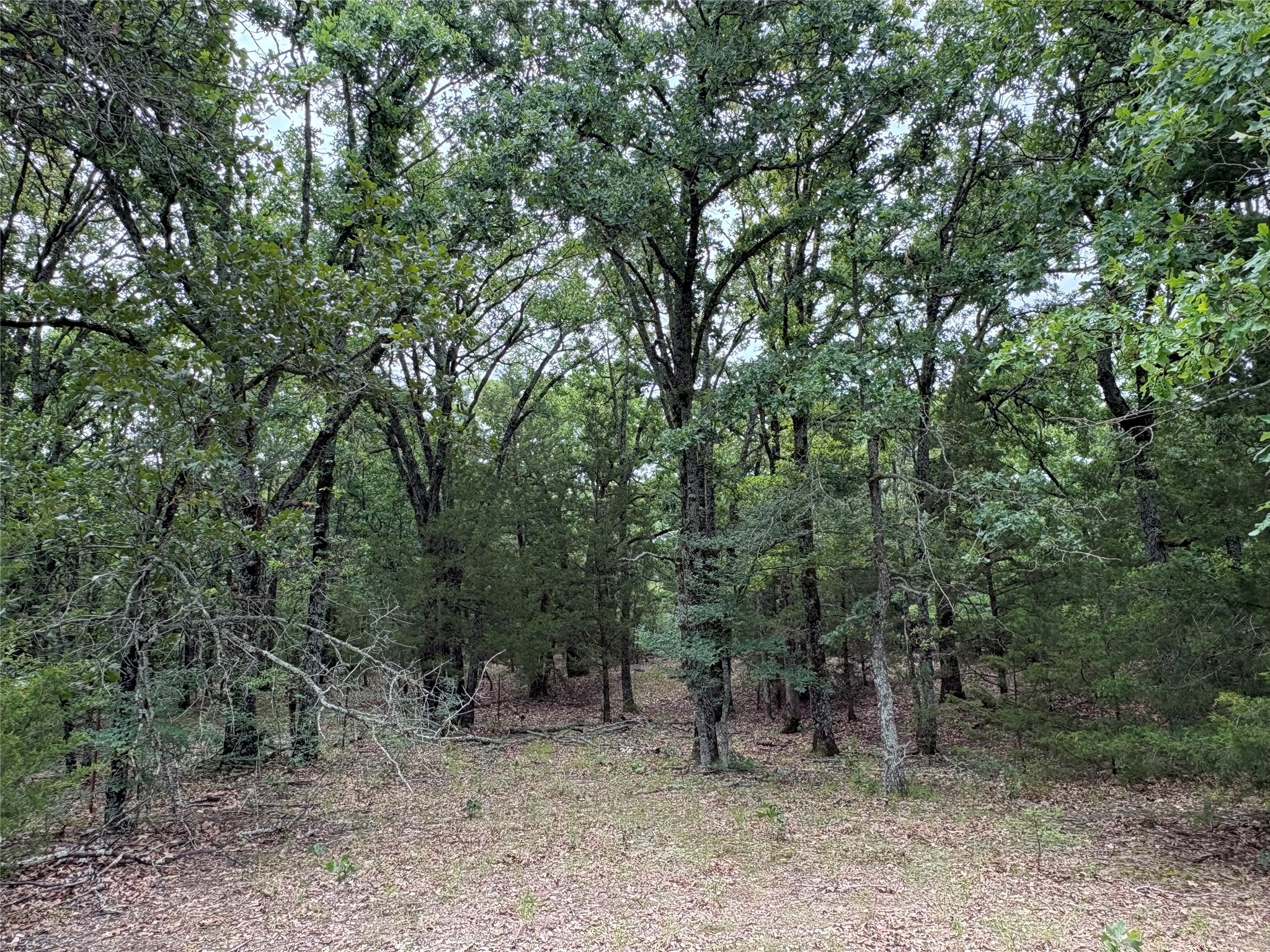 2212 County Road 4128 Cumby TX 75433