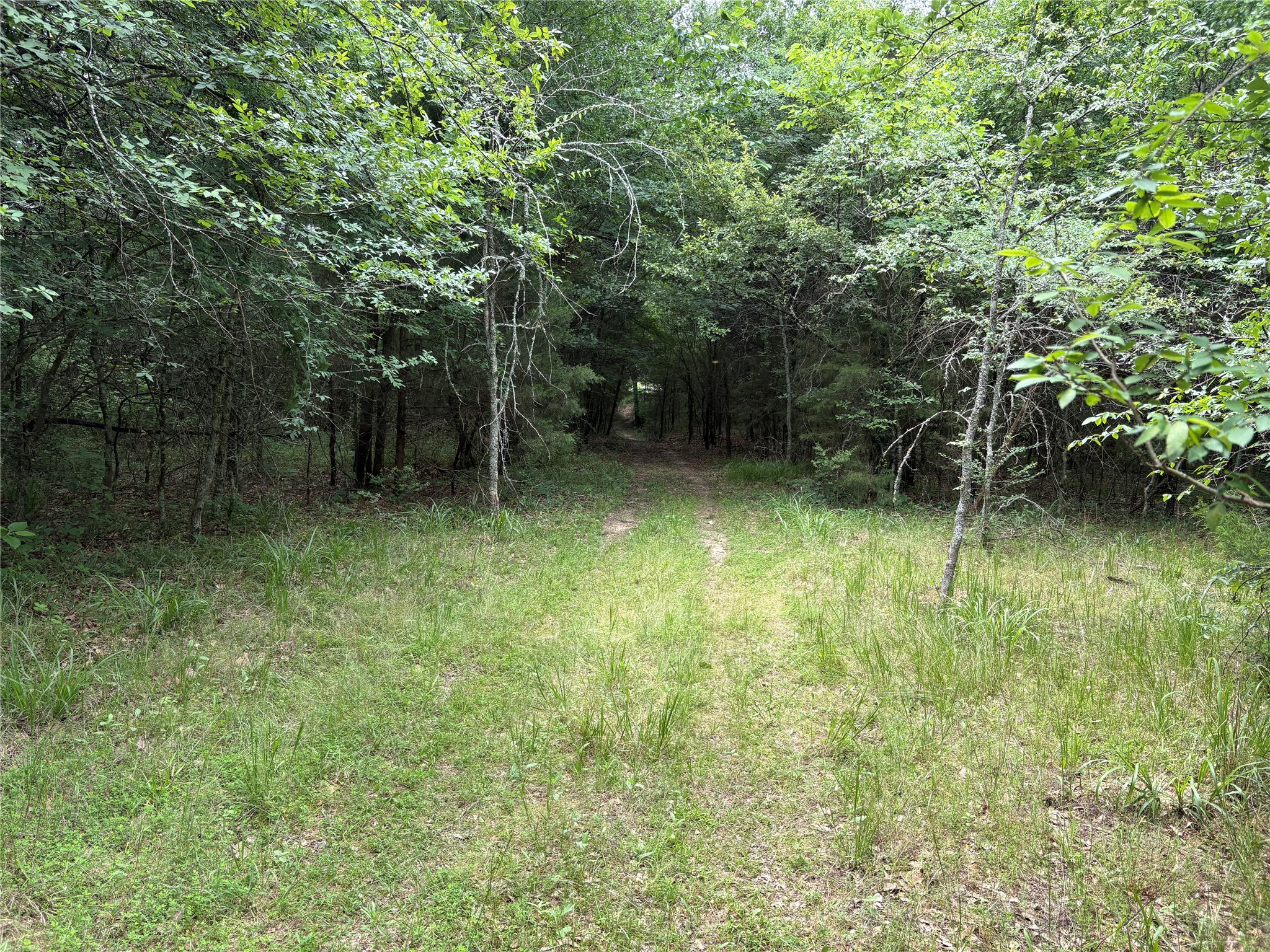 2212 County Road 4128 Cumby TX 75433