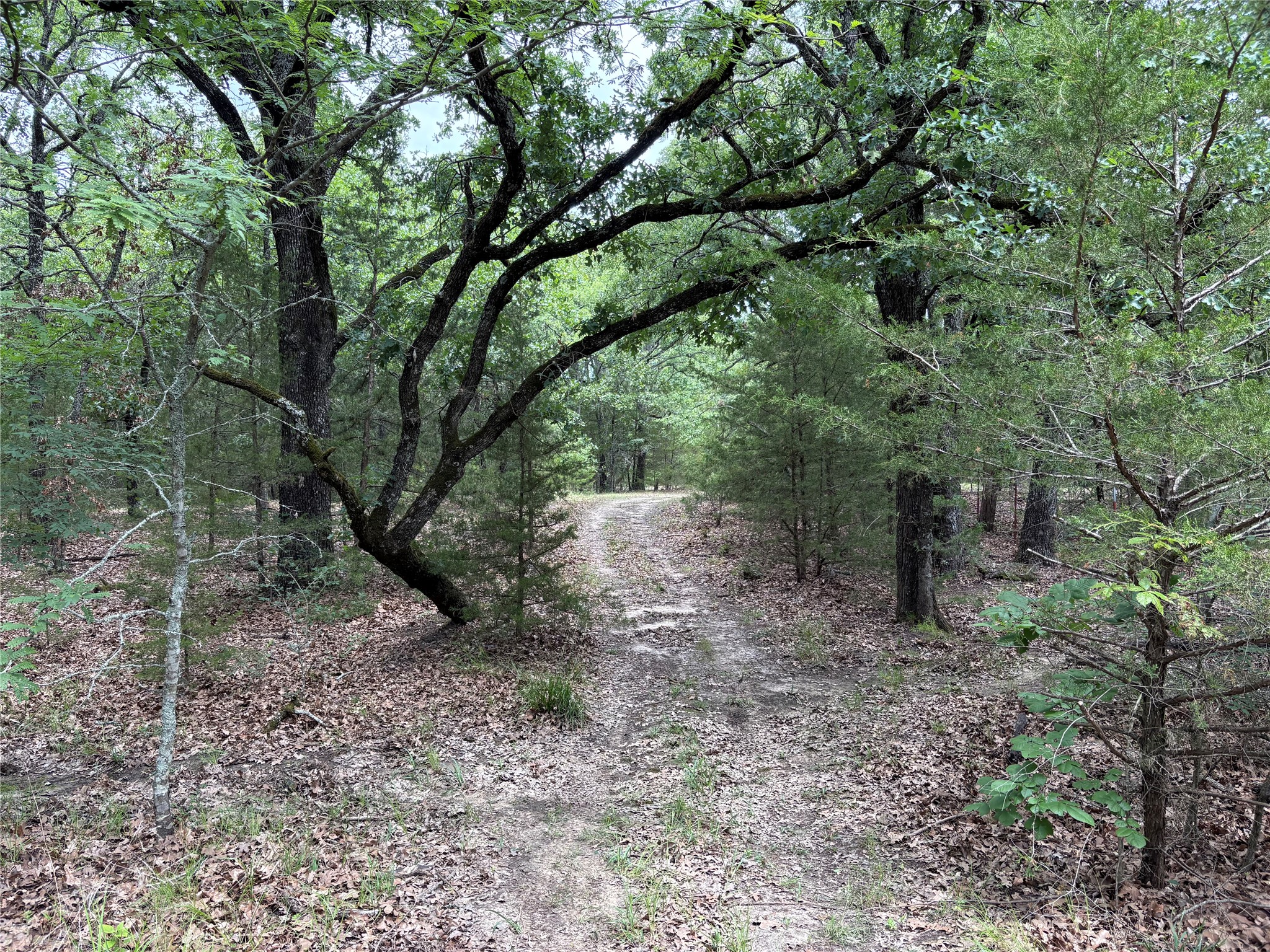 2212 County Road 4128 Cumby TX 75433