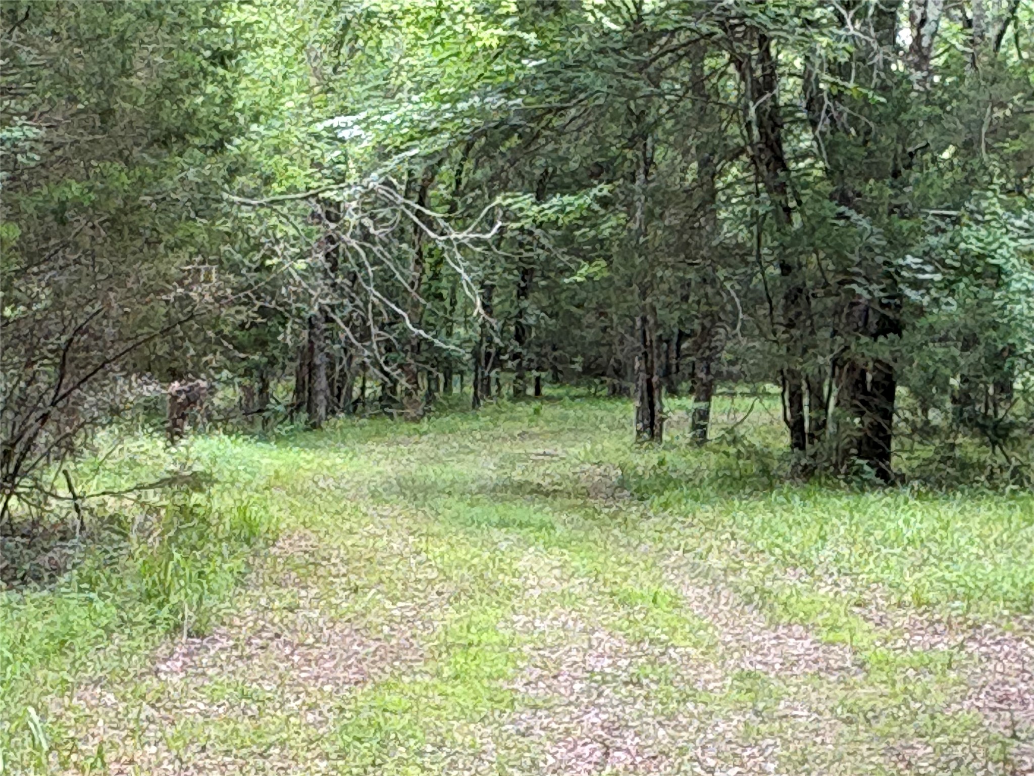 2212 County Road 4128 Cumby TX 75433