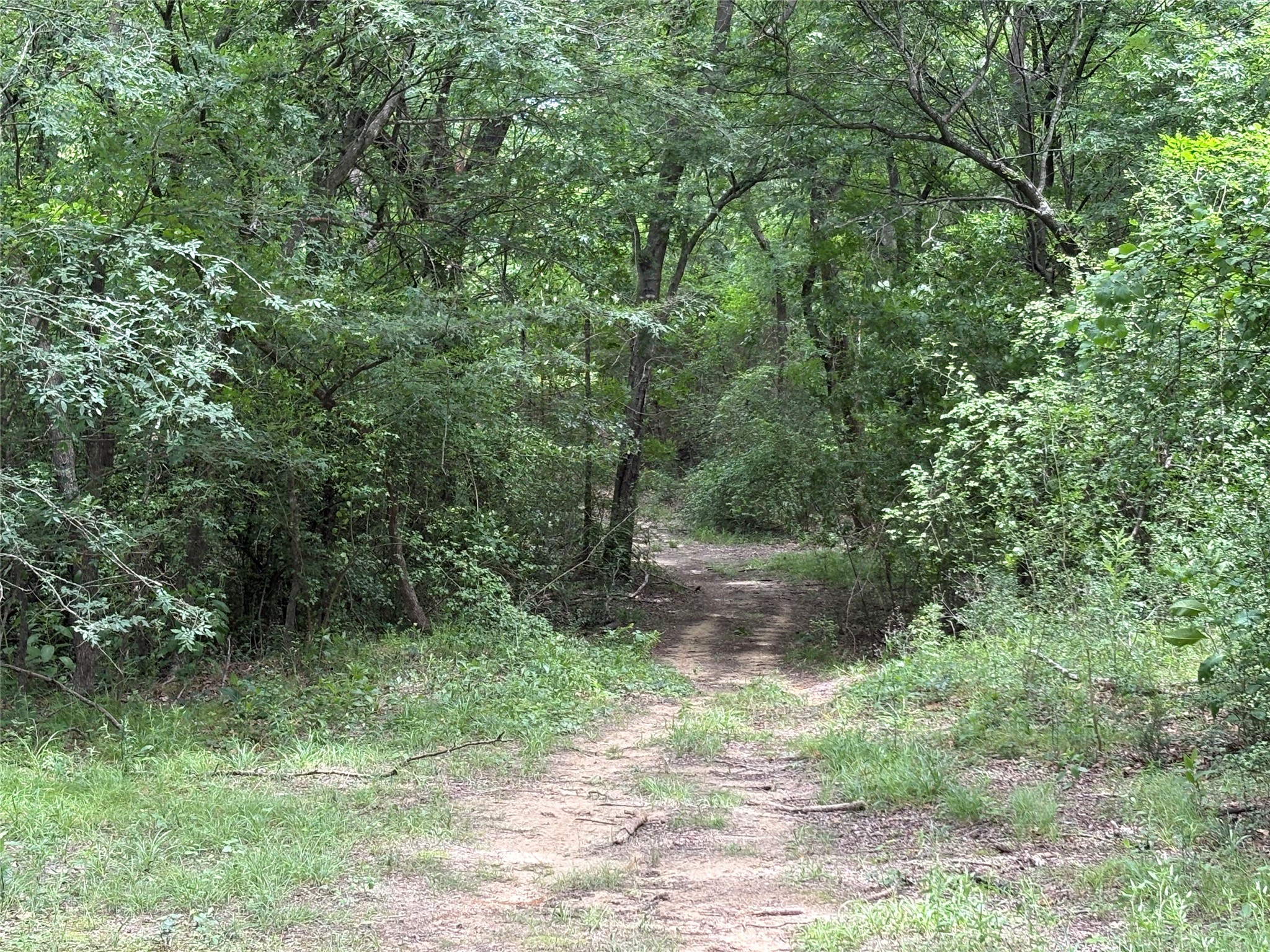2212 County Road 4128 Cumby TX 75433