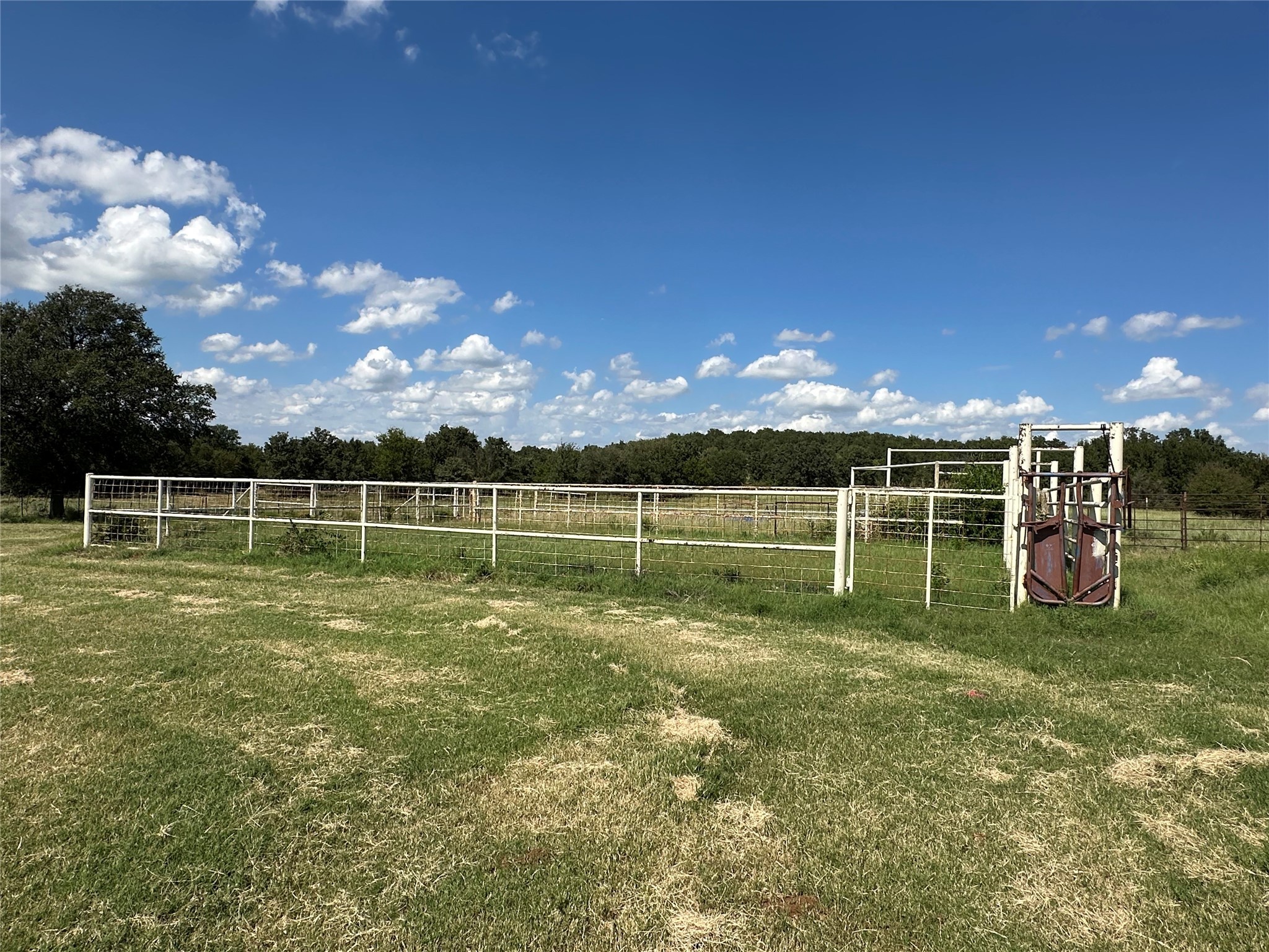 6551 Crooked Creek Road Bowie TX 76230