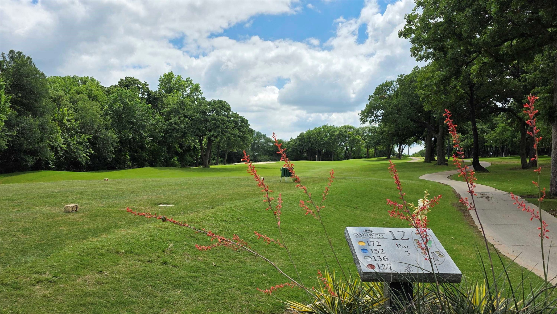 1402 Ballycastle Lane Corinth TX 76210