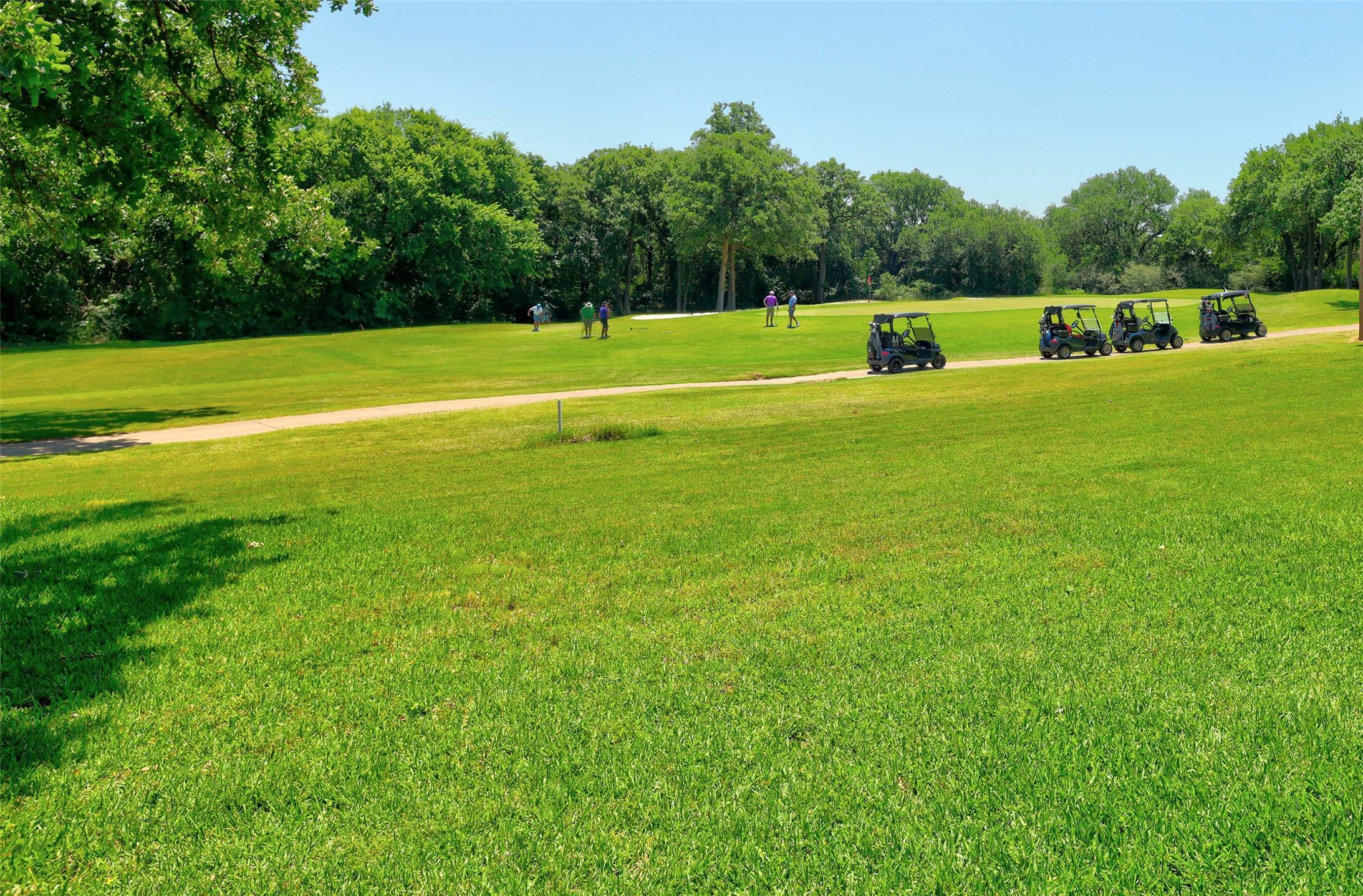 1402 Ballycastle Lane Corinth TX 76210