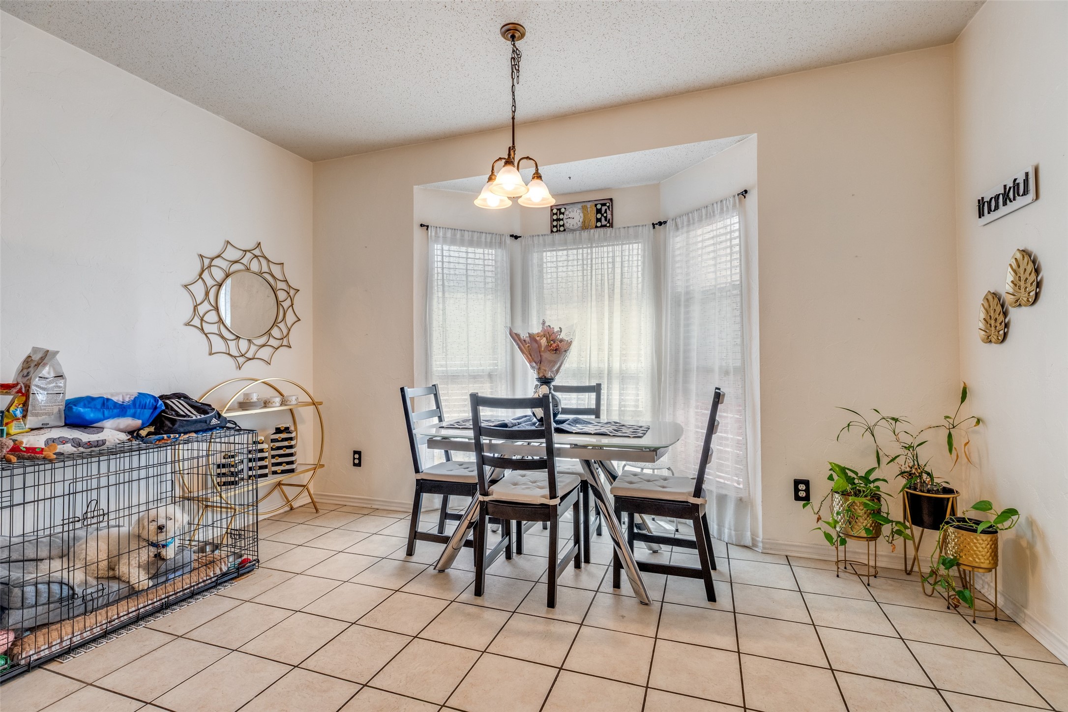 1533 Balboa Lane Allen TX 75002