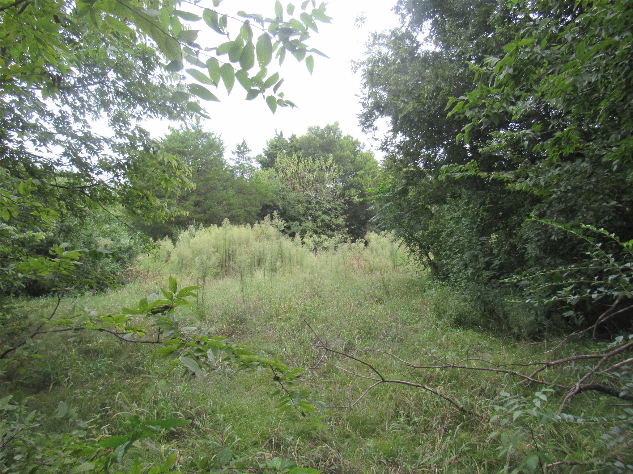 17700 Fm-901 Gordonville TX 76245
