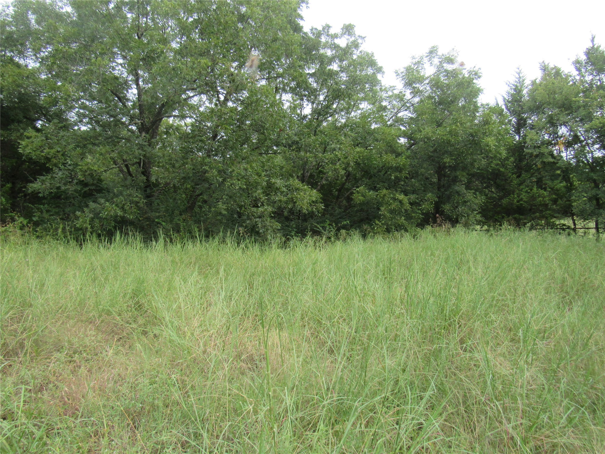 17700 Fm-901 Gordonville TX 76245