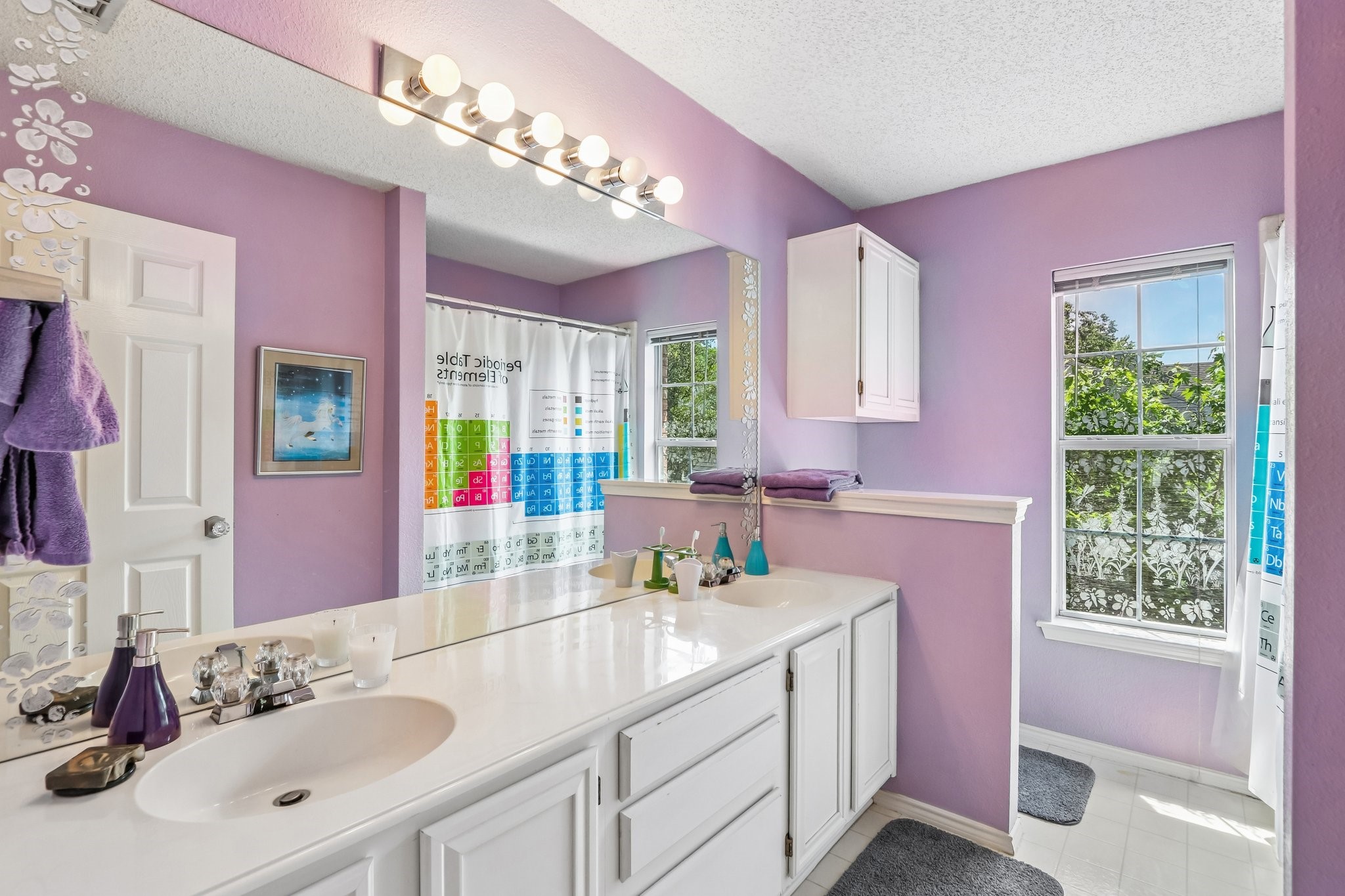 8824 Smokey Drive Plano TX 75025