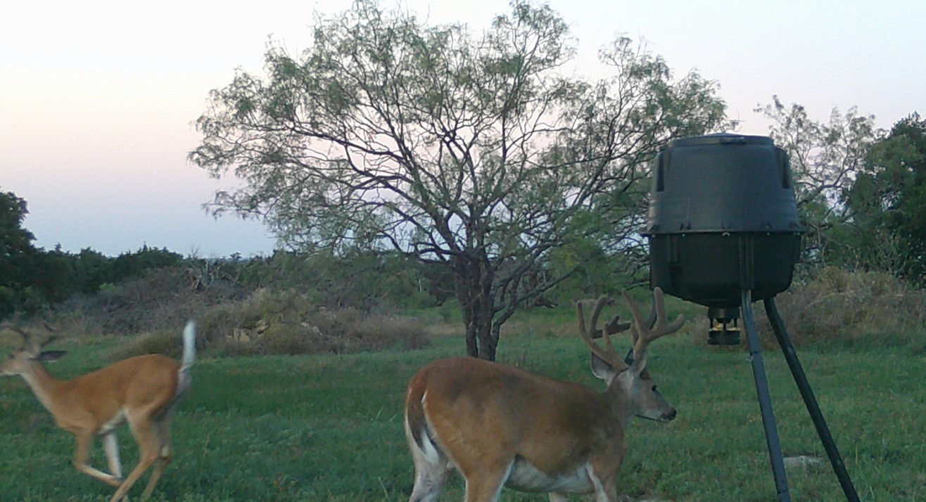 570 Pr 42103 Evant TX 76525