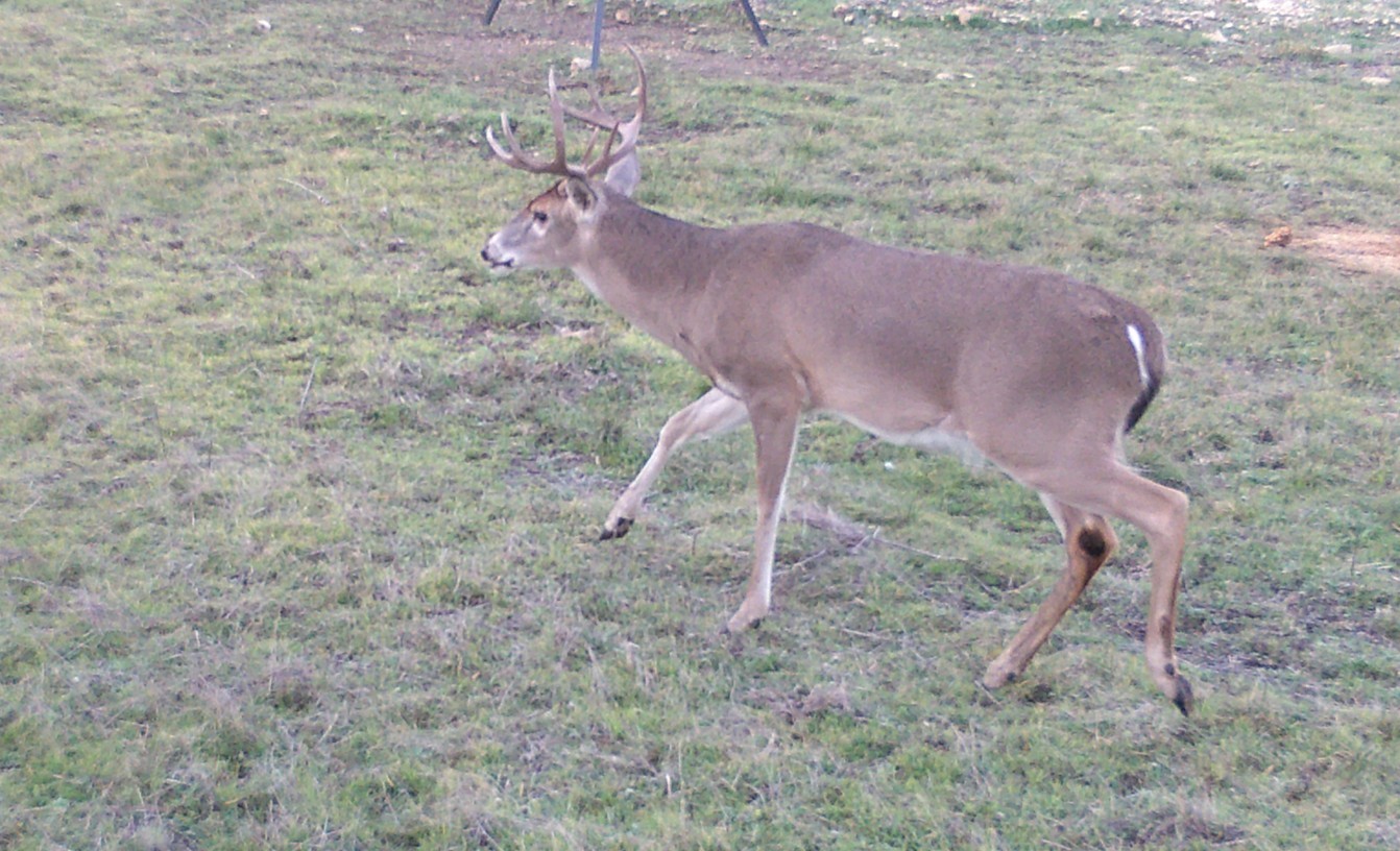 570 Pr 42103 Evant TX 76525