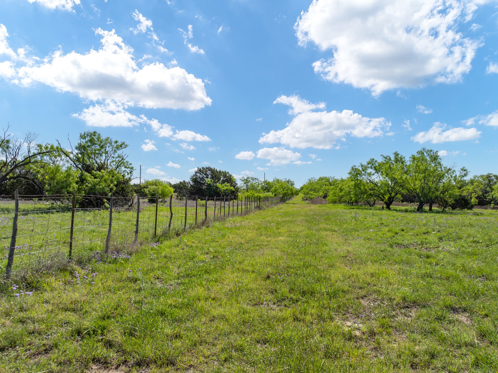 570 Pr 42103 Evant TX 76525