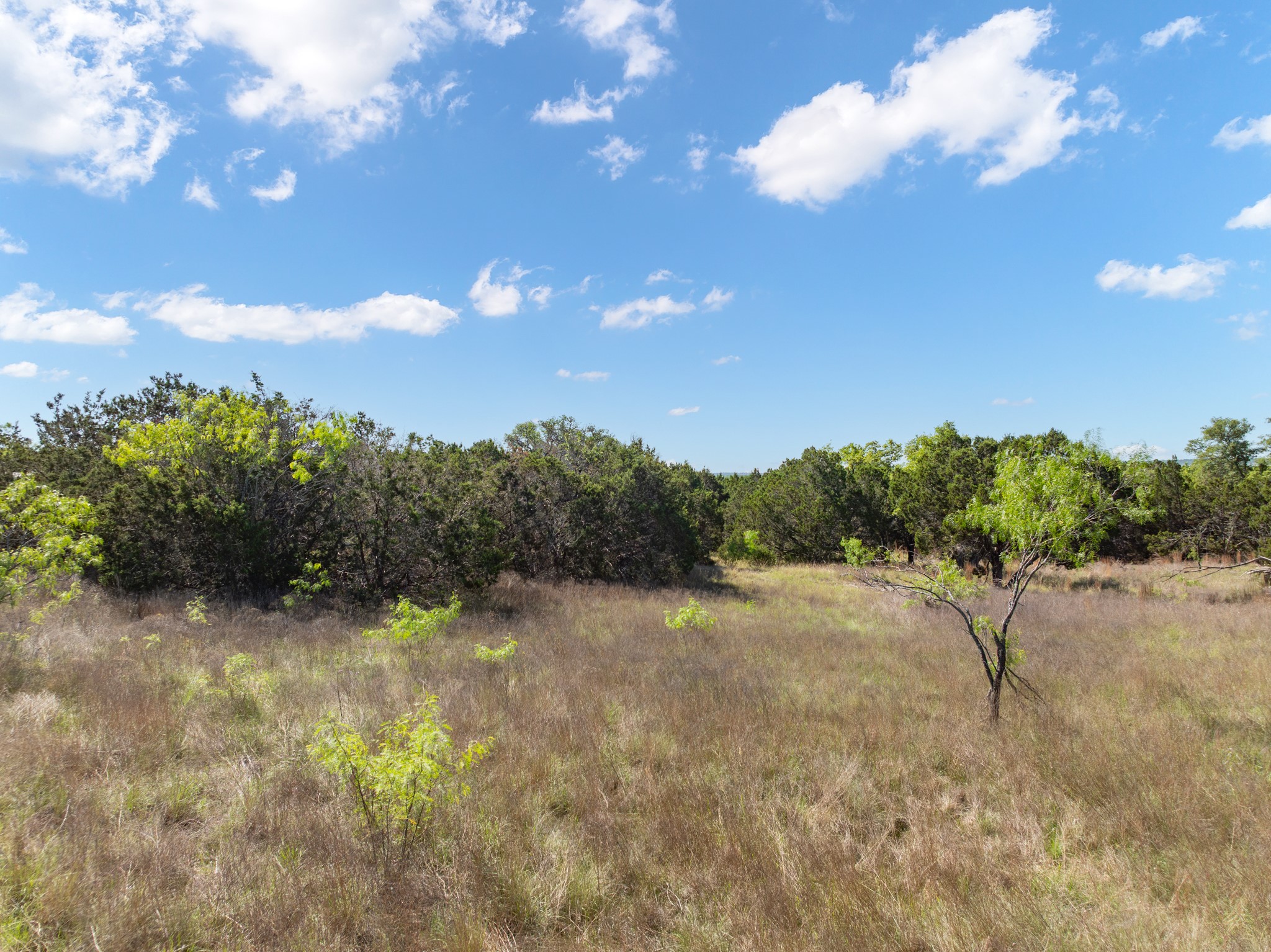 570 Pr 42103 Evant TX 76525