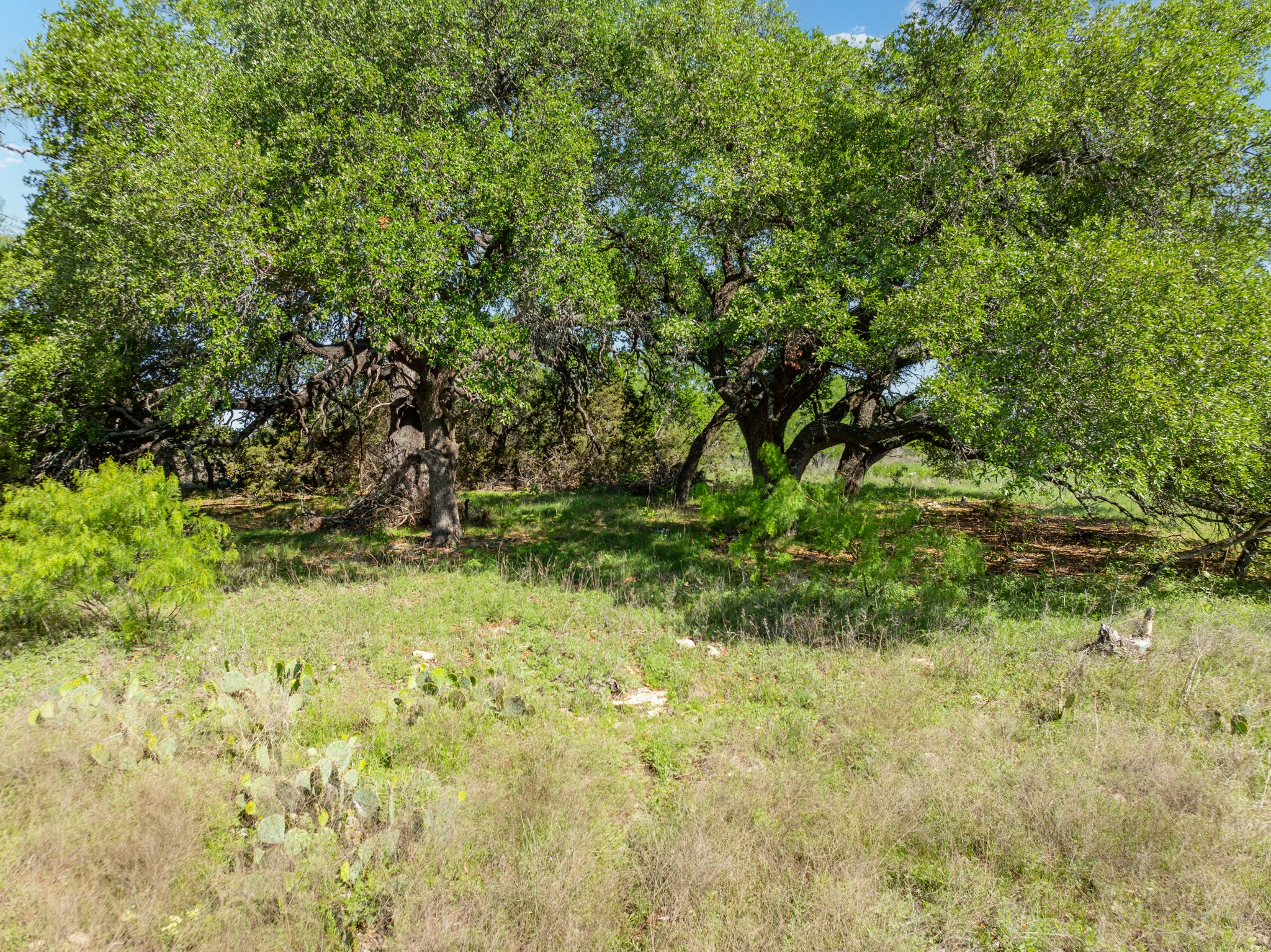 570 Pr 42103 Evant TX 76525