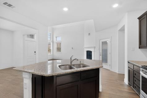 7113 Dandelion Drive Little Elm TX 76227