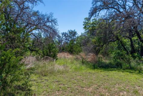 346 Whispering Oaks Lane Early TX 76802