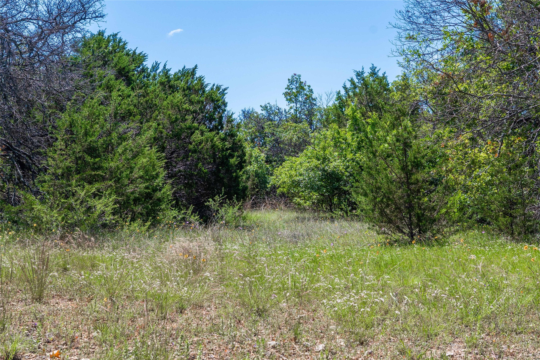 346 Whispering Oaks Lane Early TX 76802