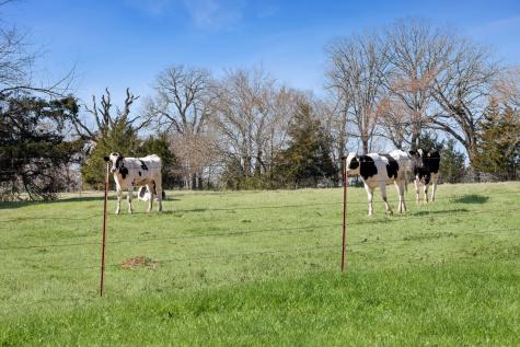 1818 County Road 1151 Cumby TX 75433