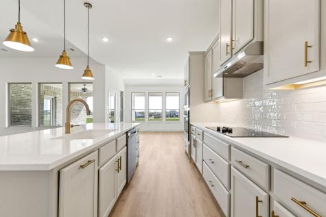 133 Swan Lake Drive Waxahachie TX 75165