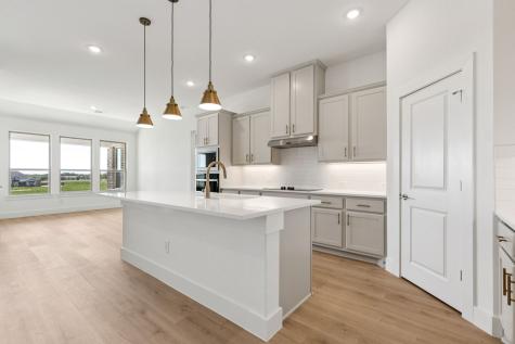 133 Swan Lake Drive Waxahachie TX 75165
