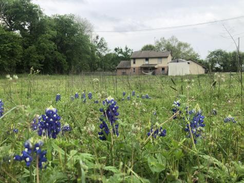 5227 E Fm 875 Waxahachie TX 75167