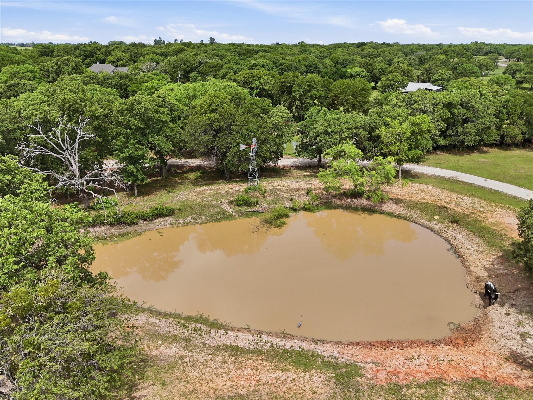 2304 Winchester Court Tolar TX 76476