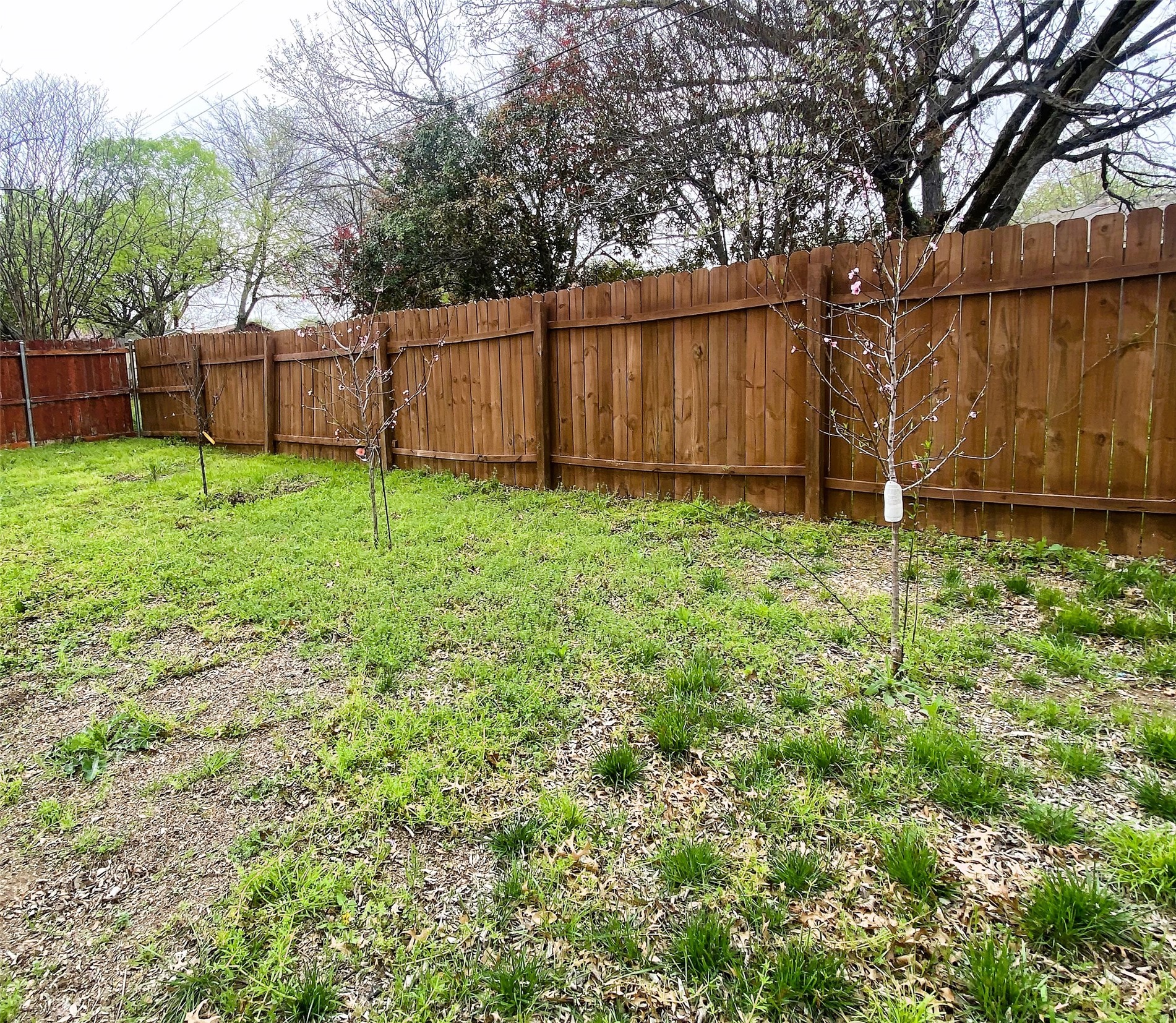 1123 Saturn Drive Cedar Hill TX 75104