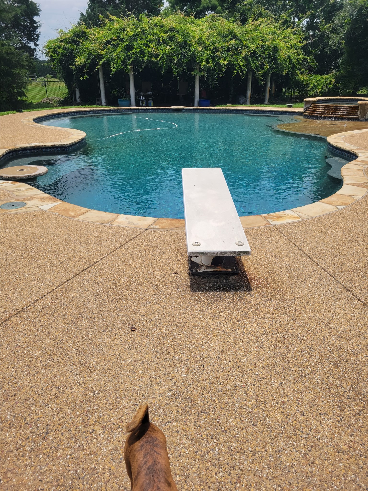 4377 Fm 753 Athens TX 75751