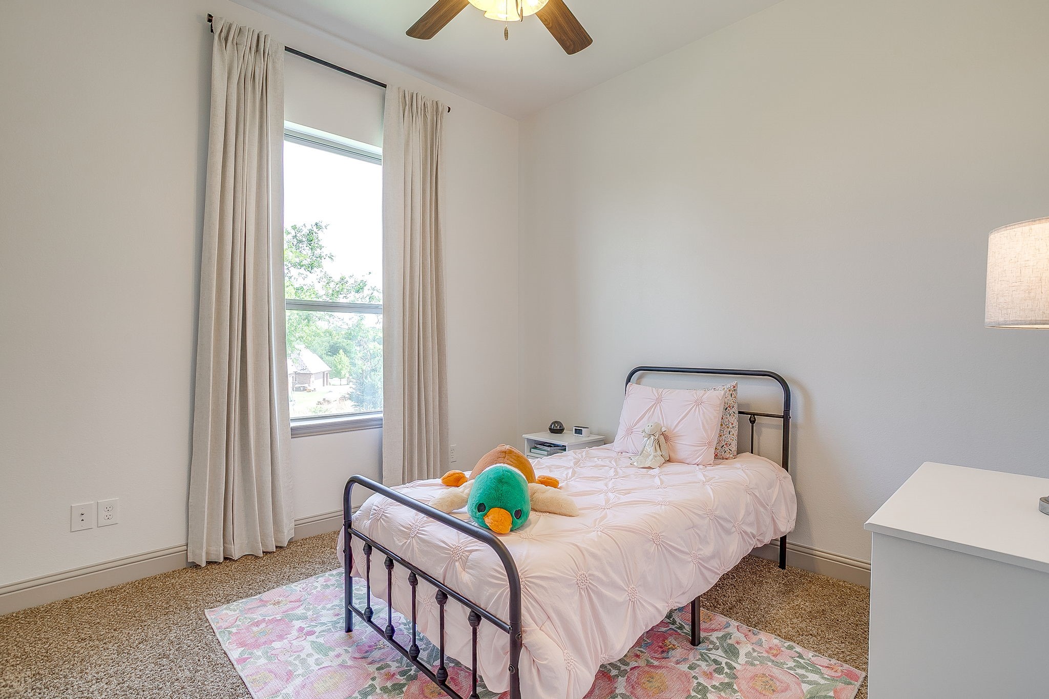 190 Ethan Drive Hudson Oaks TX 76087