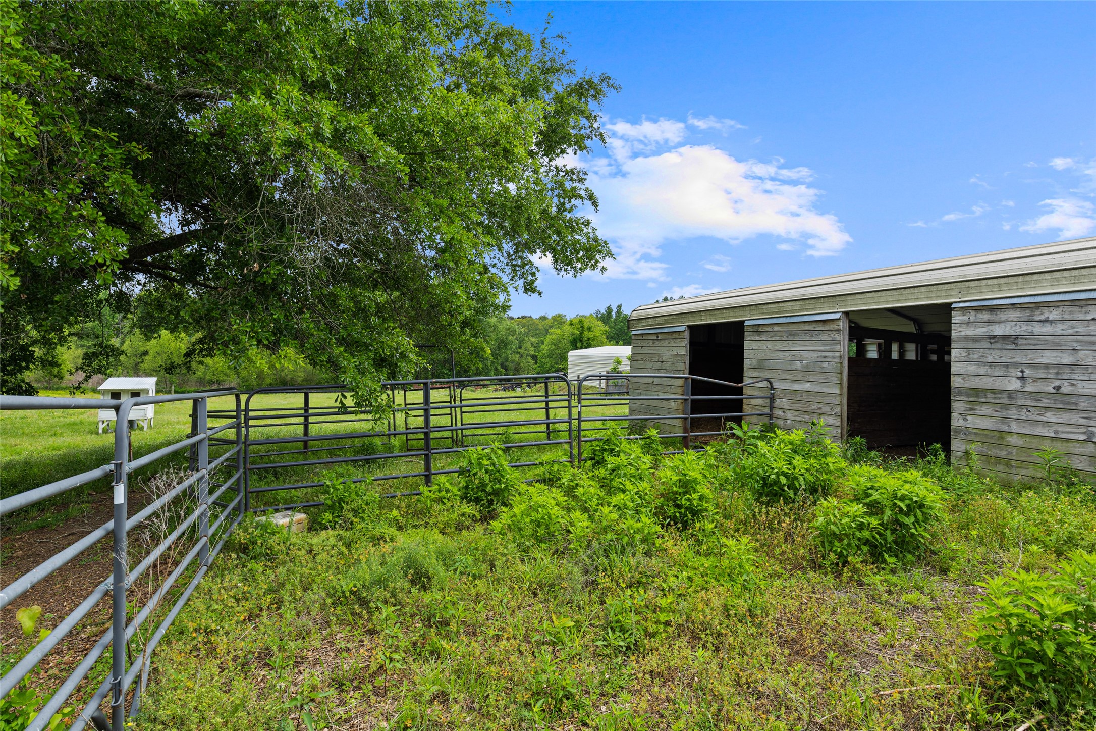 152 Black Hawk Lane Gilmer TX 75645