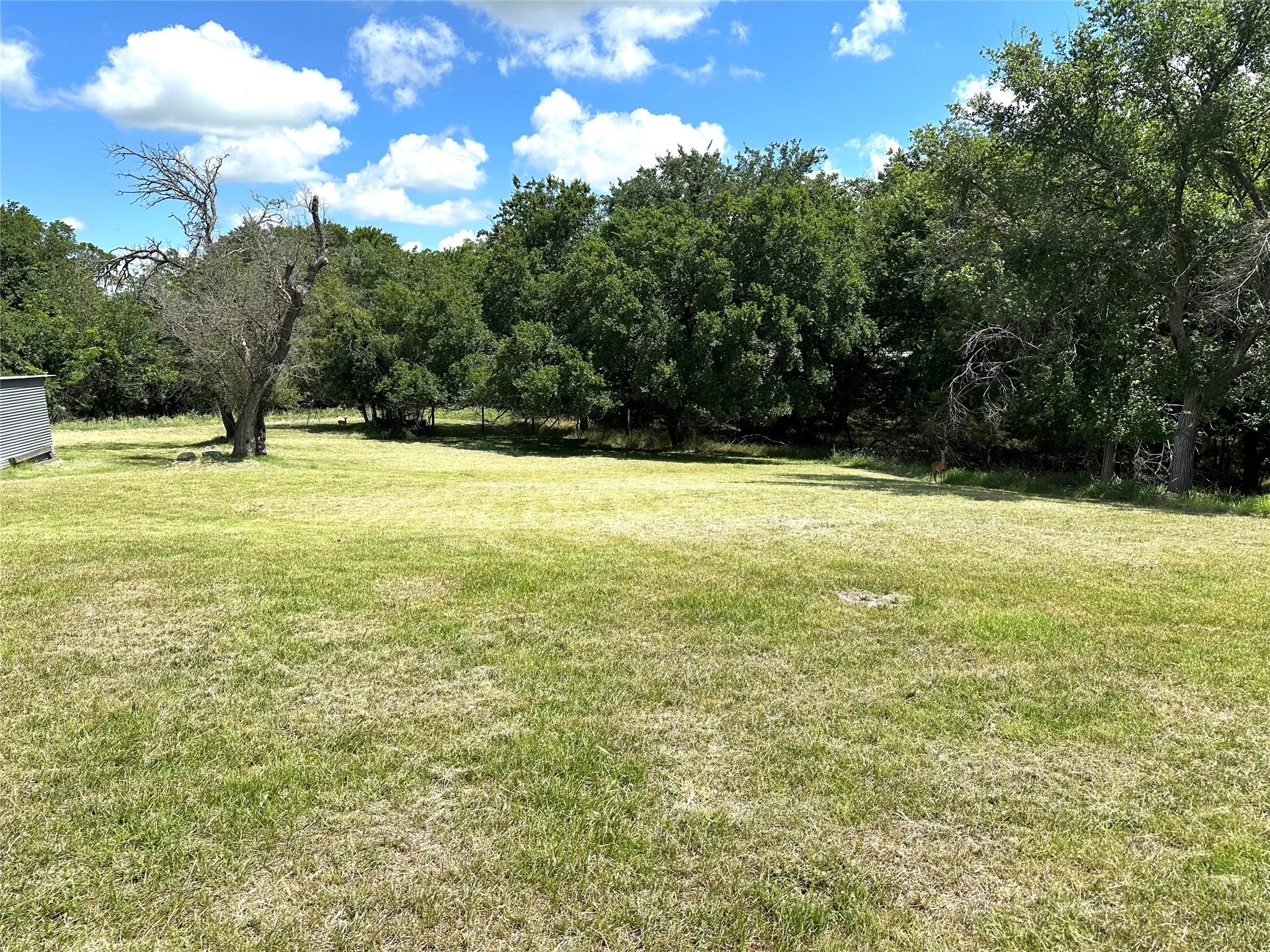 500 Apache Trail Comanche TX 76442