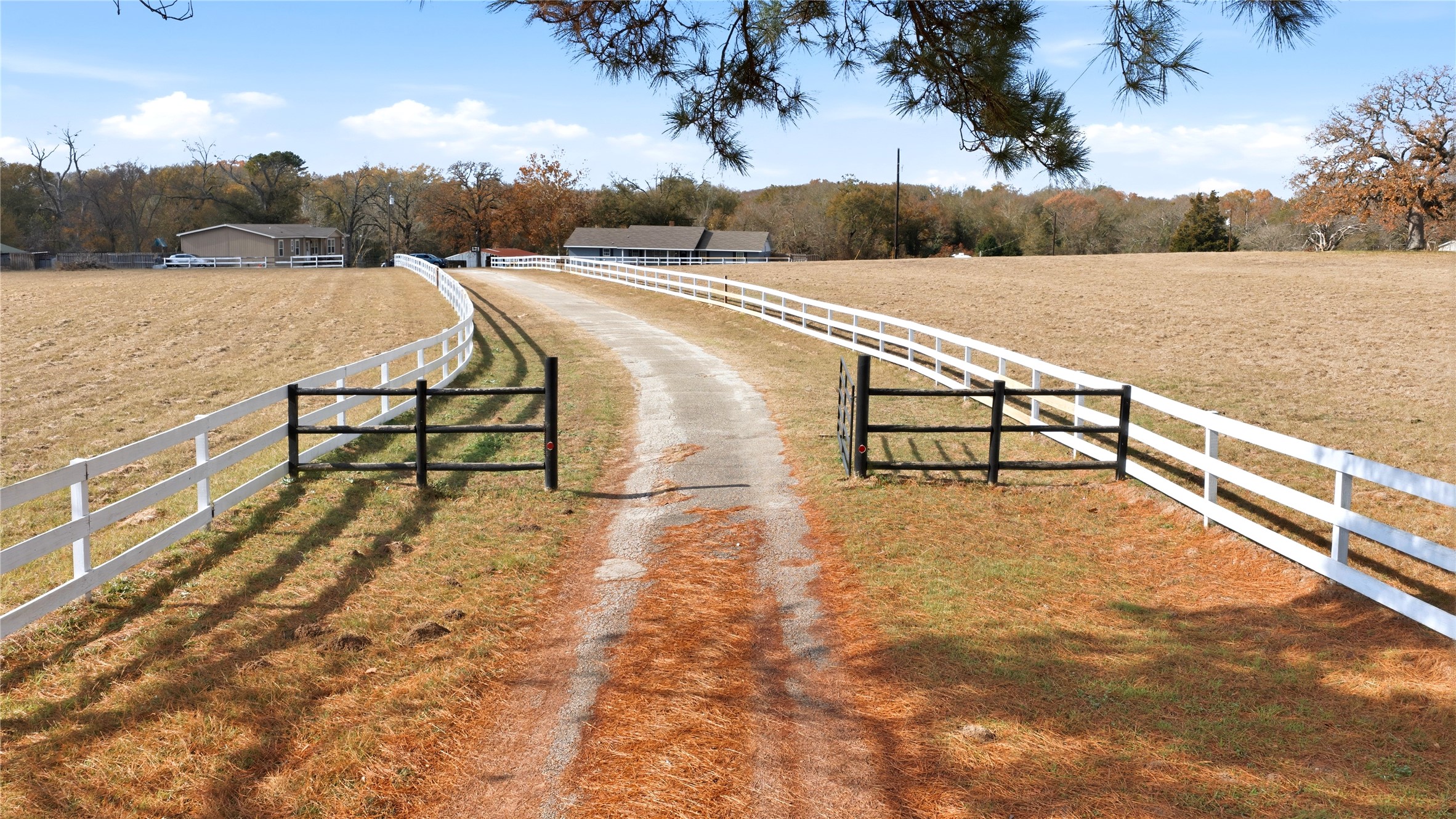 12637 State Highway 19 N Athens TX 75752