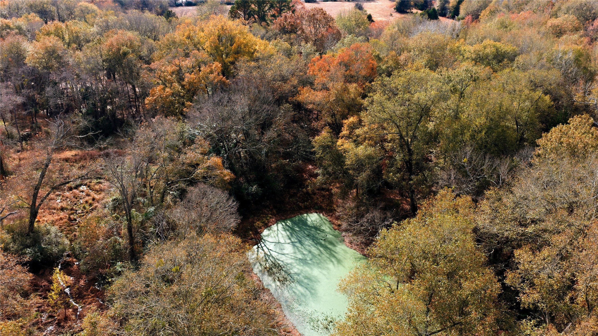 12637 State Highway 19 N Athens TX 75752