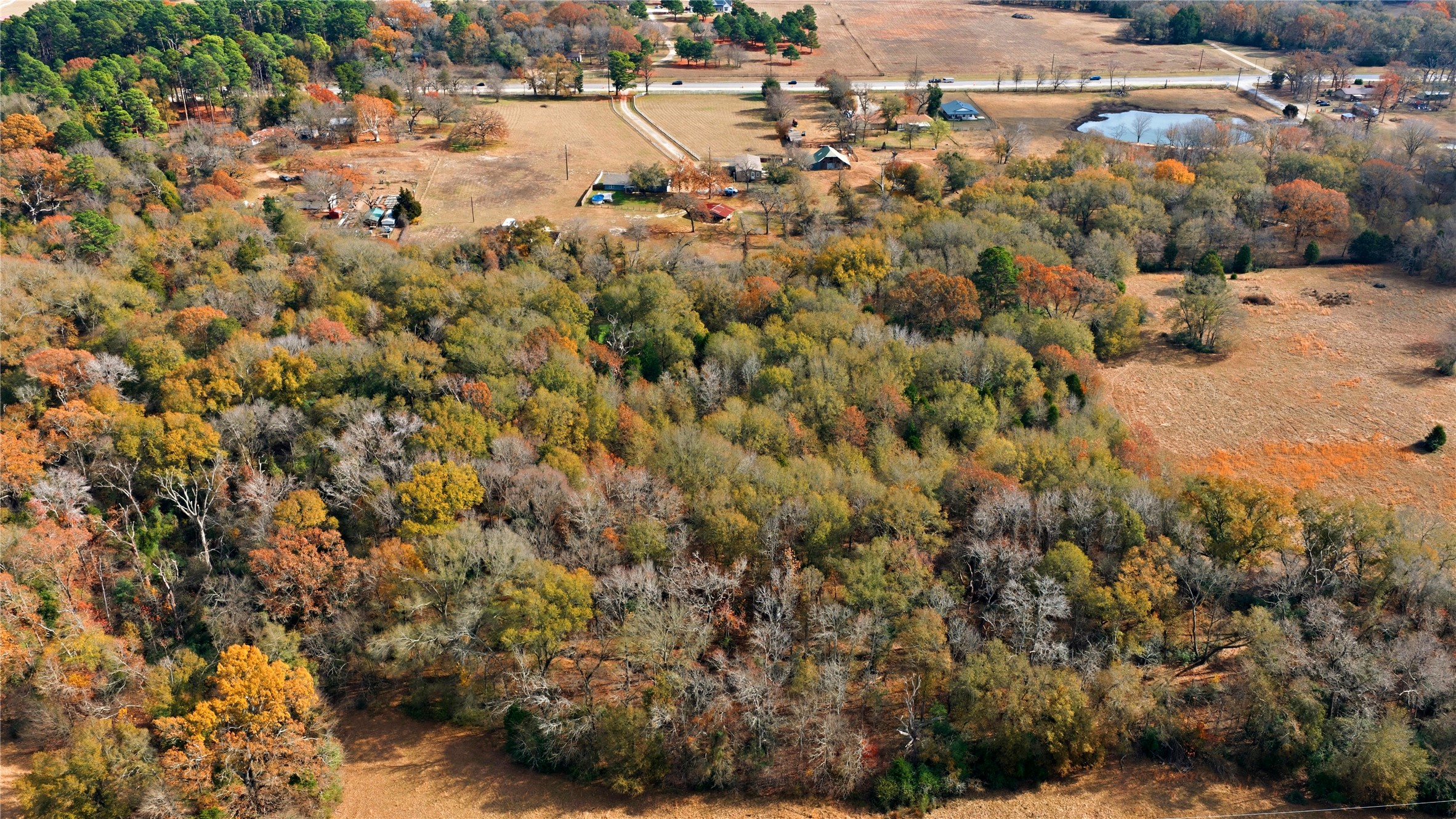12637 State Highway 19 N Athens TX 75752