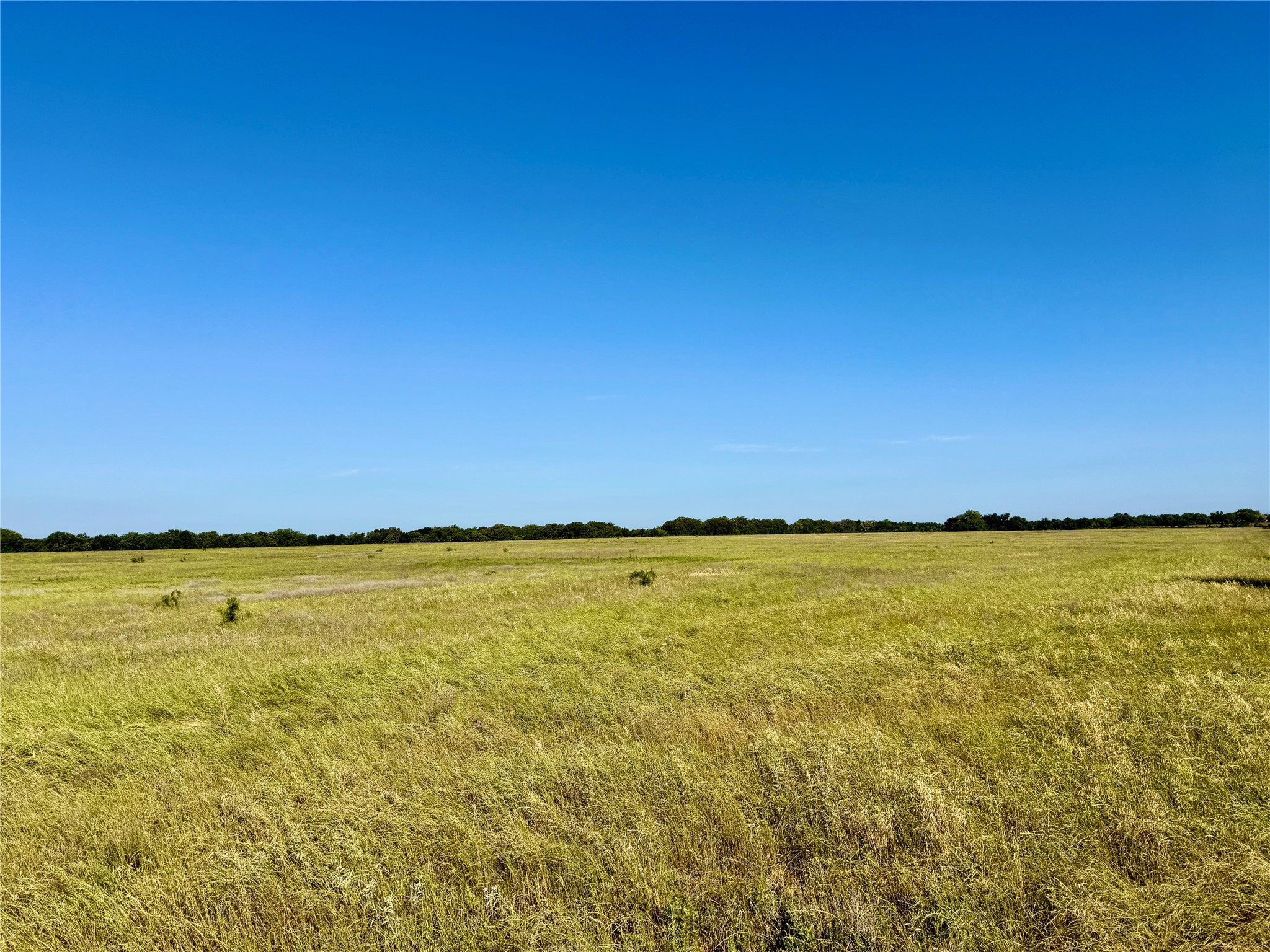 6331 County Road 385 Dublin TX 76446
