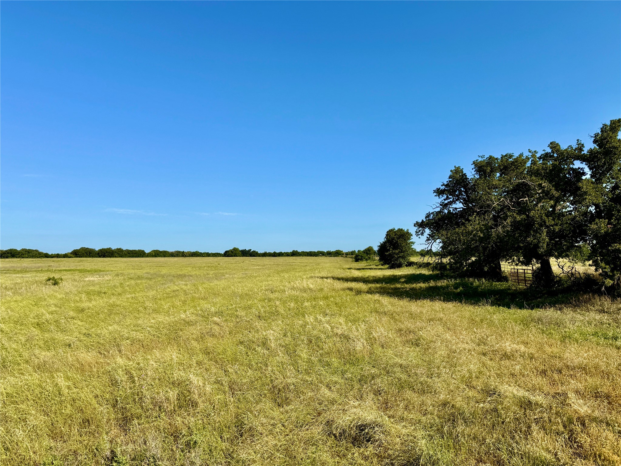 6331 County Road 385 Dublin TX 76446