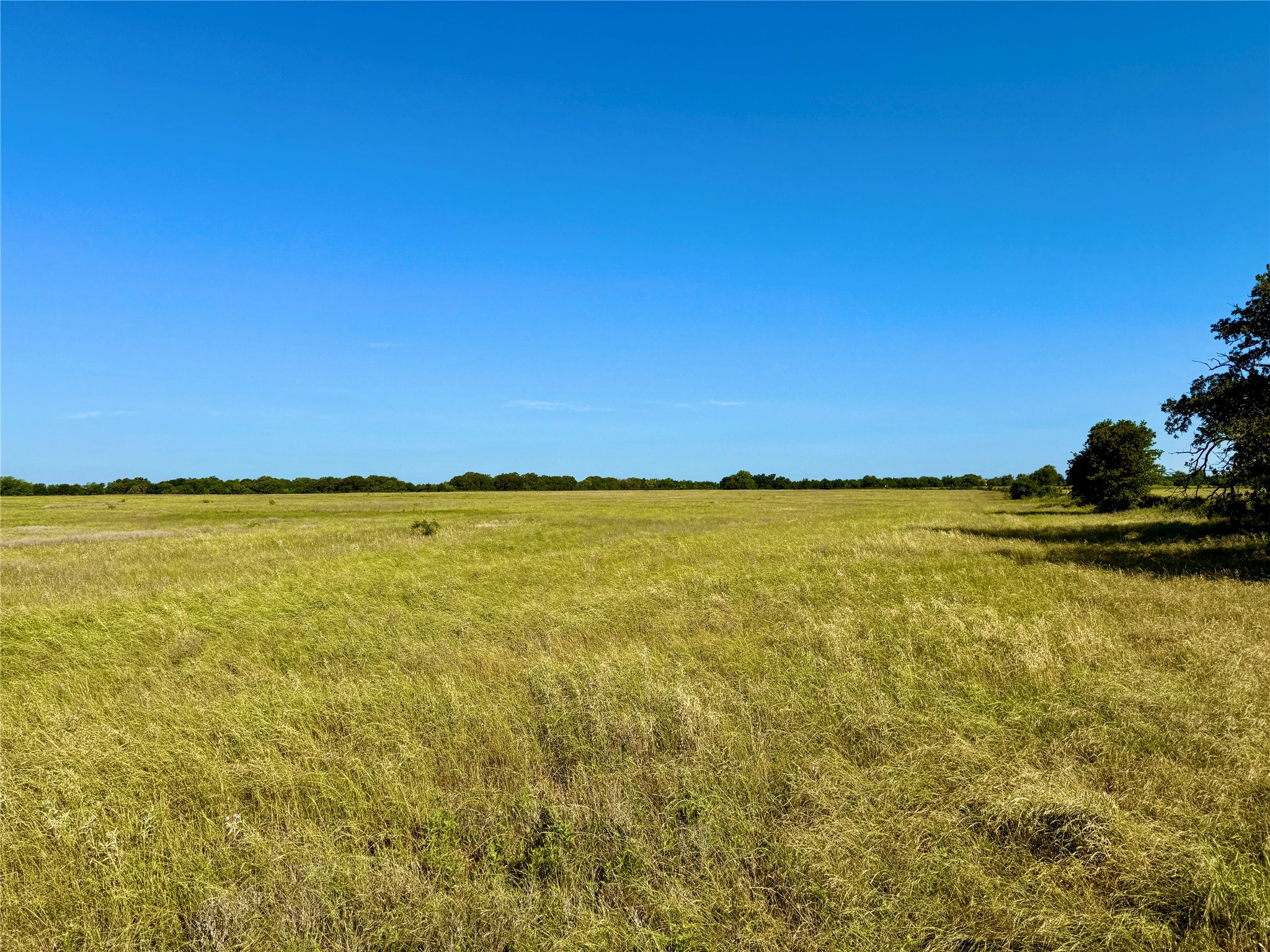 6331 County Road 385 Dublin TX 76446