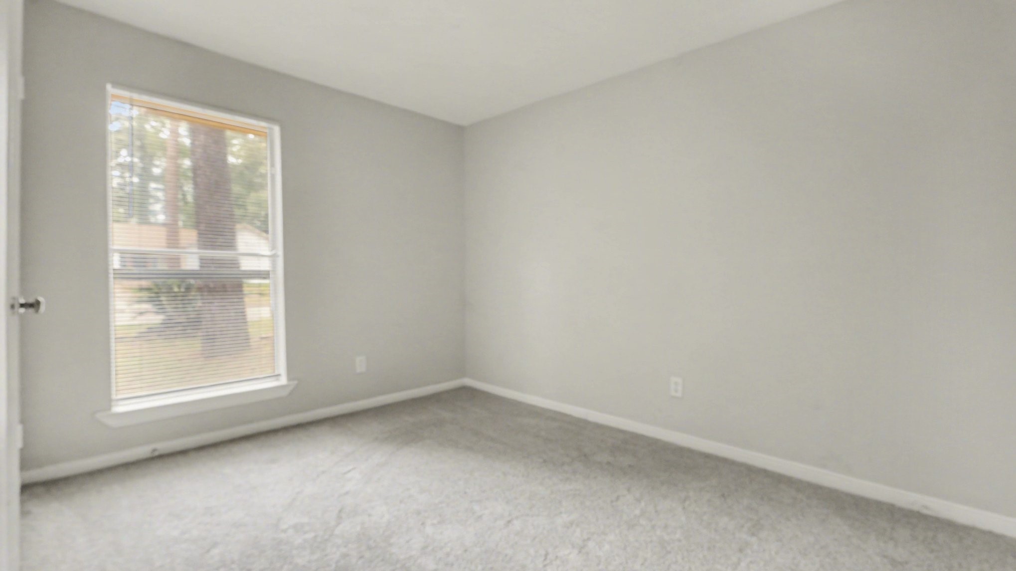 23034 Earlmist Drive Spring TX 77373