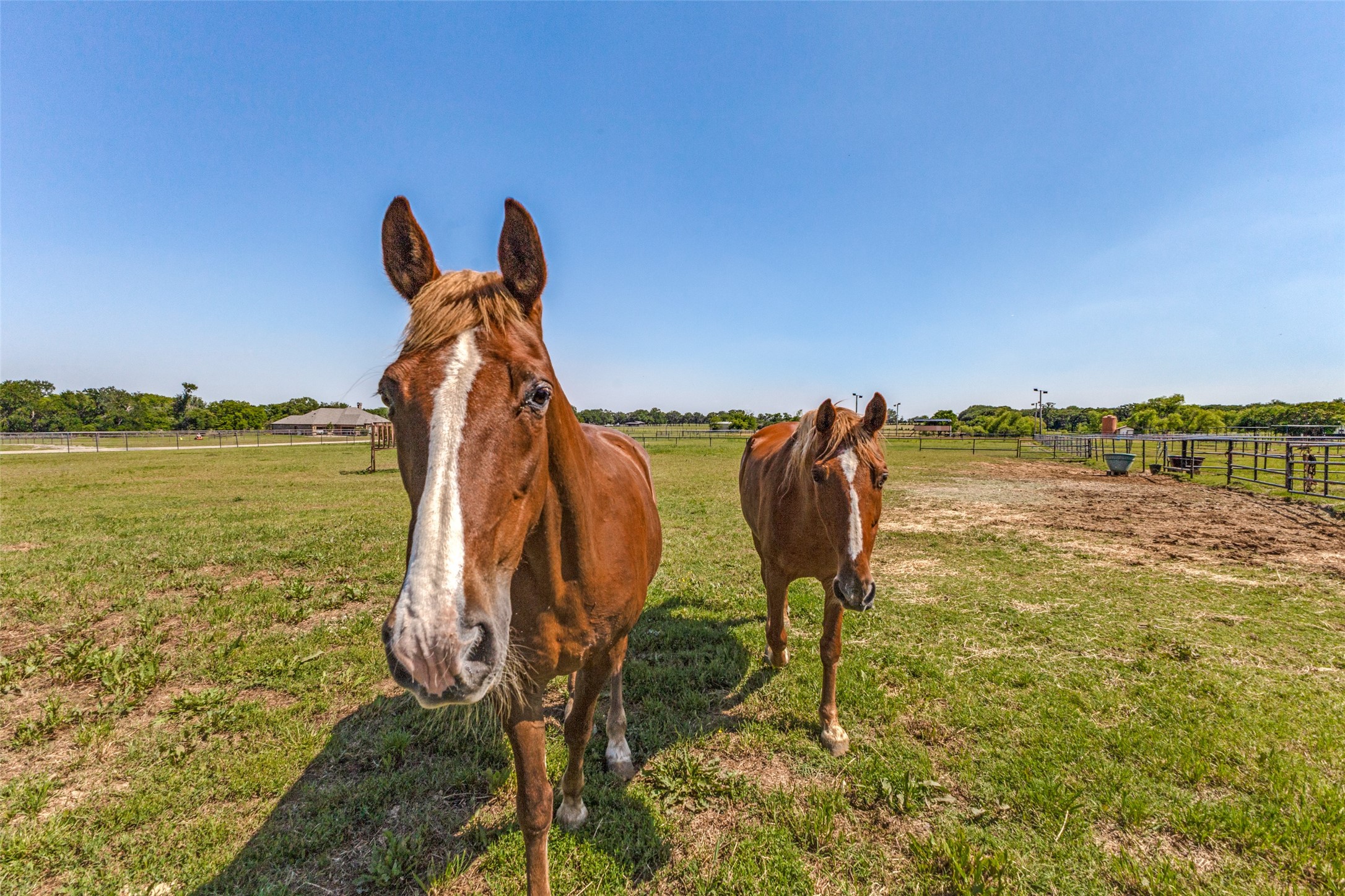9940 Cole Road Pilot Point TX 76258