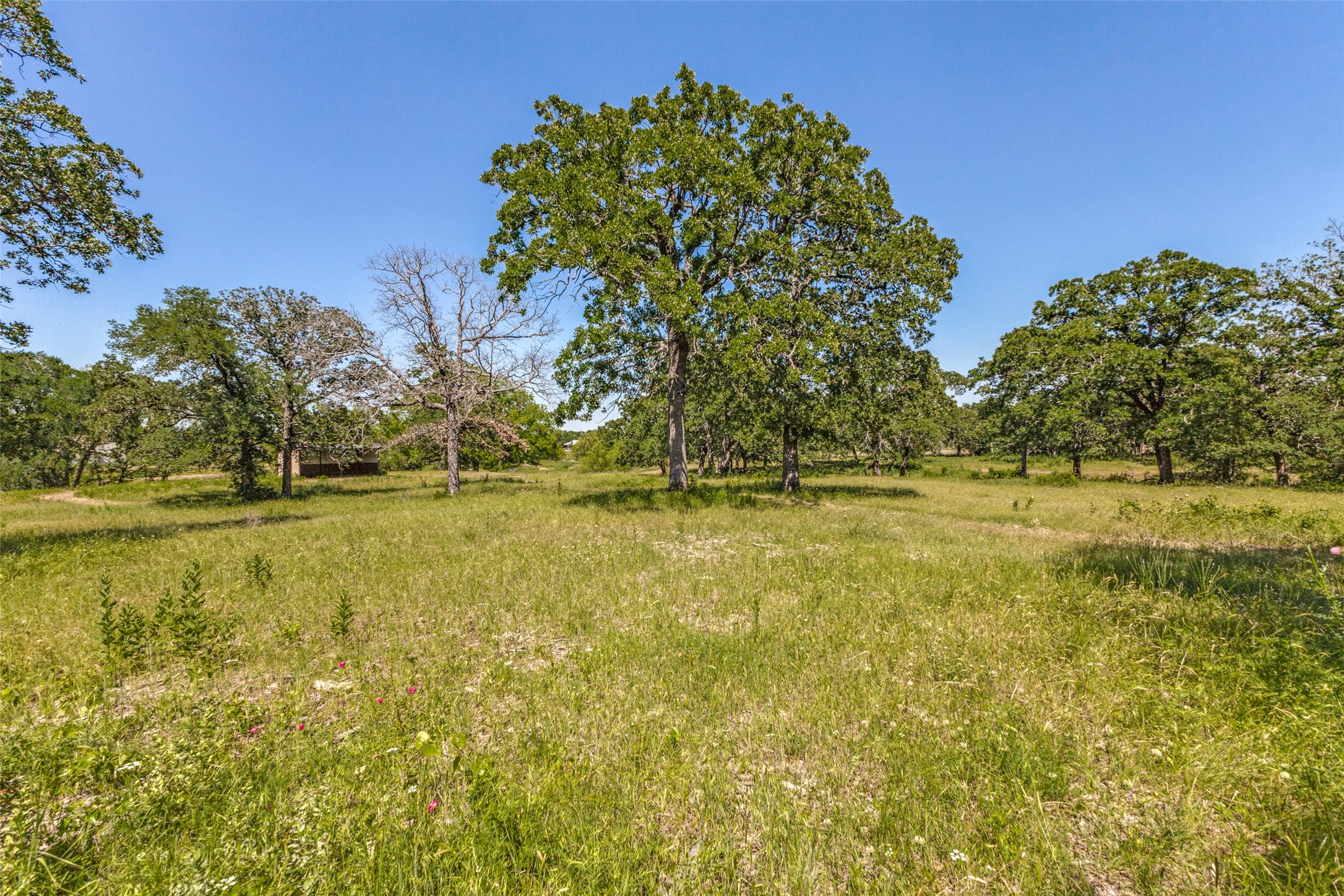9940 Cole Road Pilot Point TX 76258
