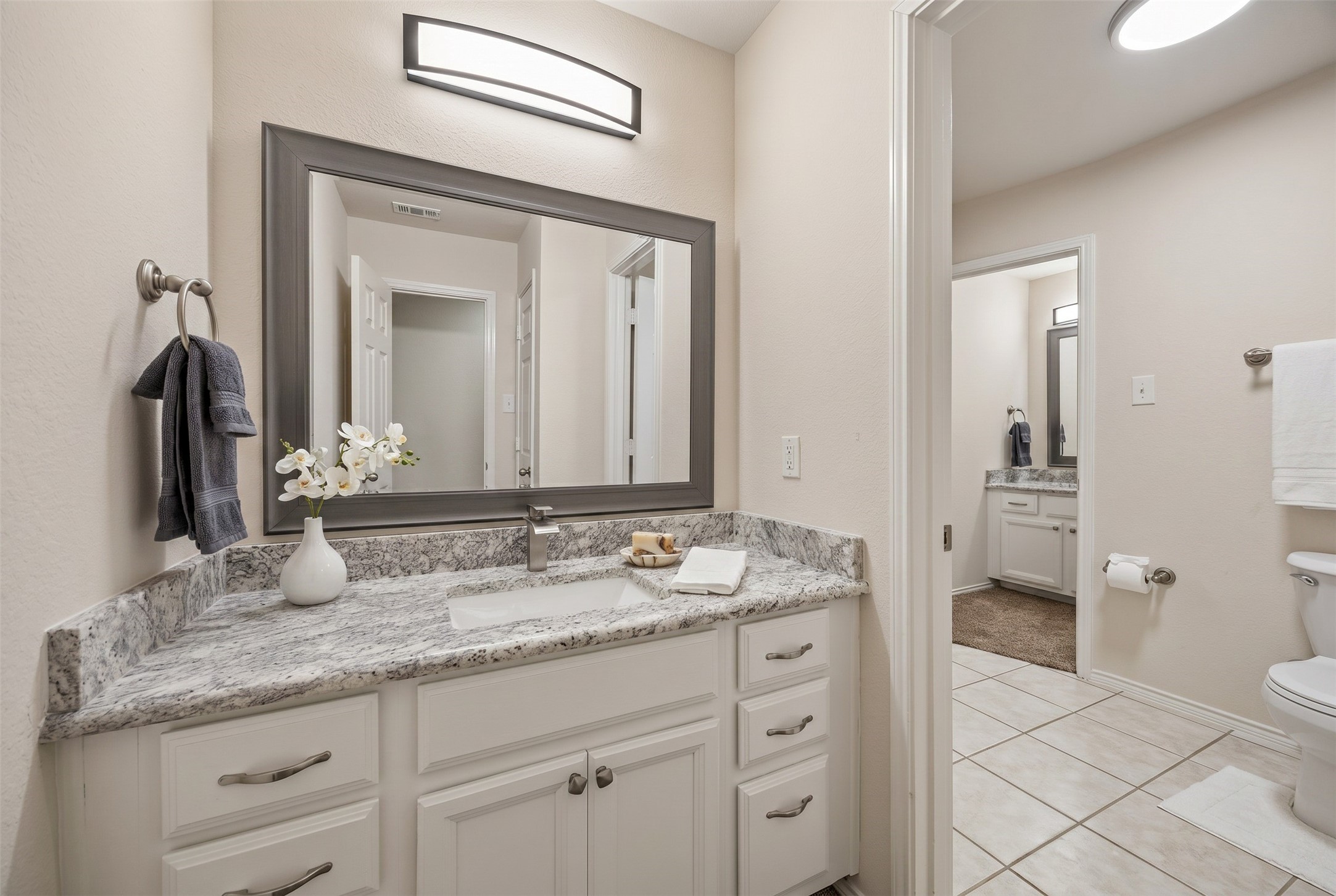 13415 Mannheim Drive Frisco TX 75033