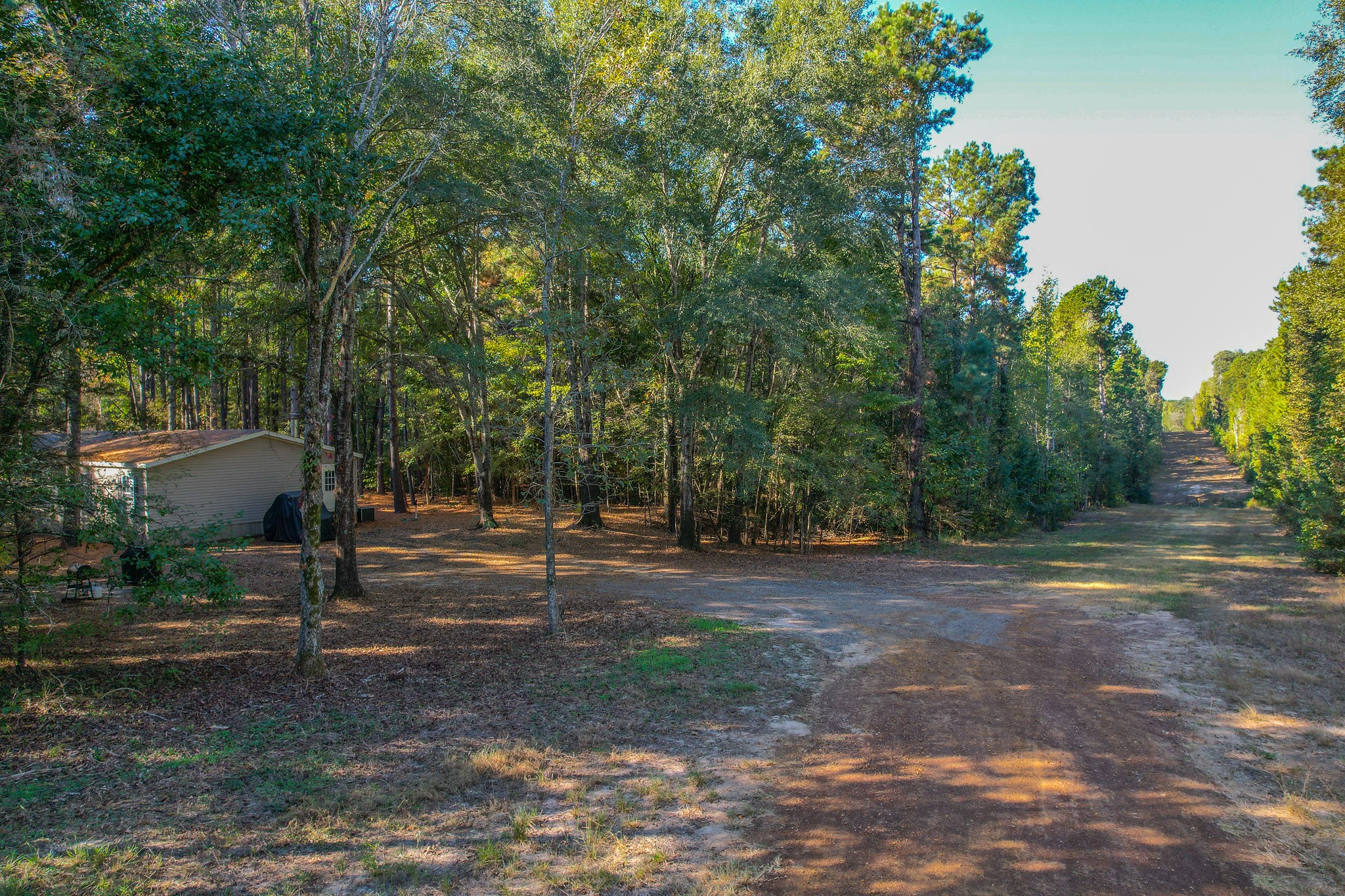 7821 Cr-3409 Chandler TX 75758