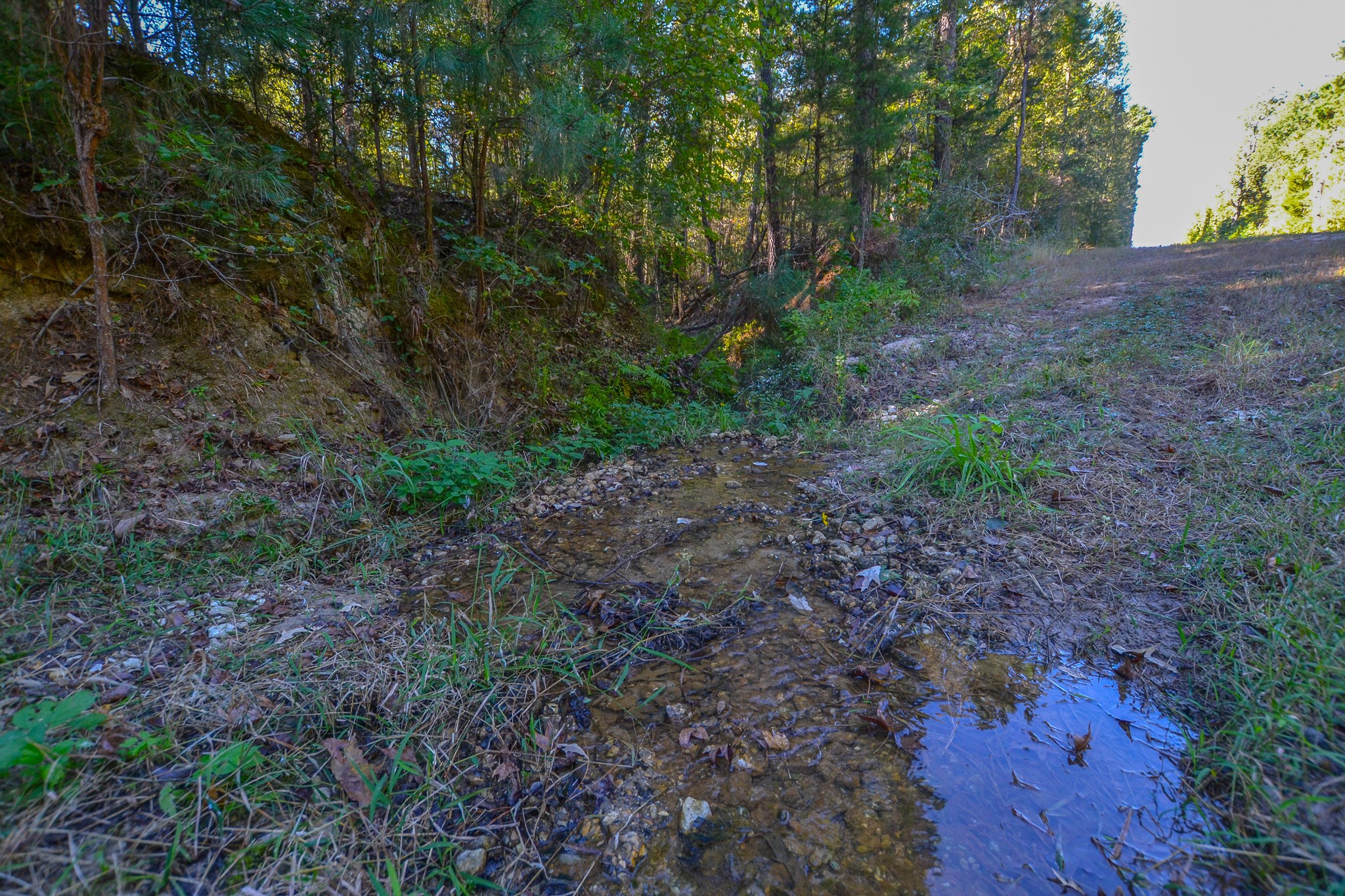 7821 Cr-3409 Chandler TX 75758