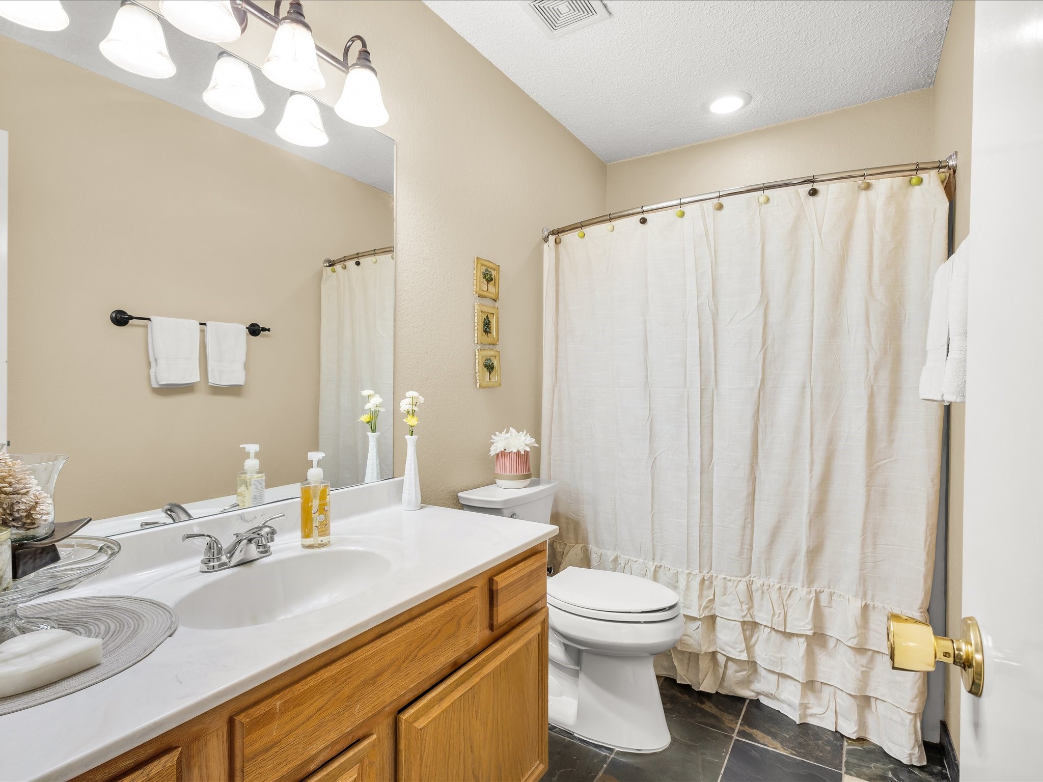 10117 High Bluff Drive Fort Worth TX 76108